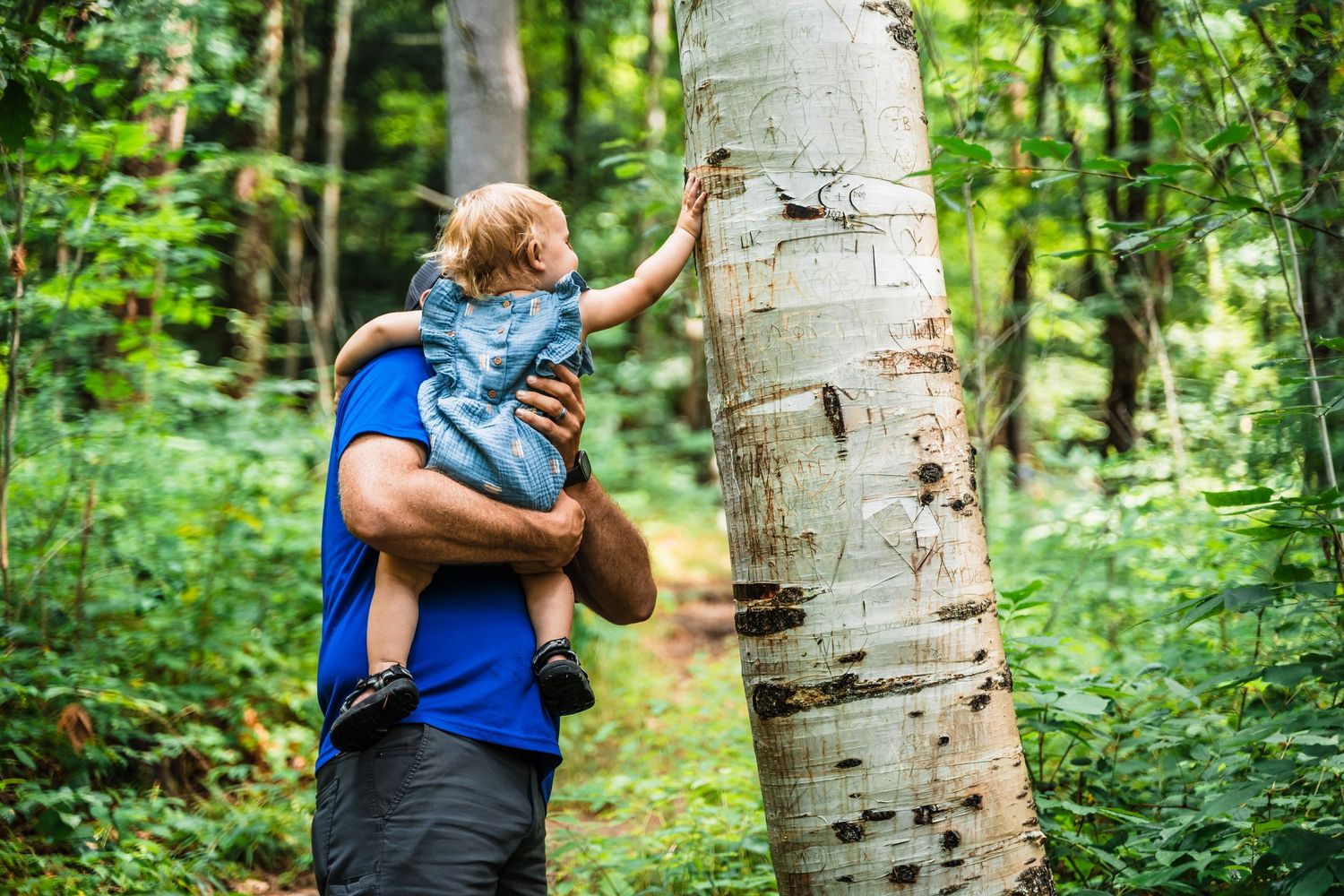 A warm moment touching a birch tree trunk in a lush green forest.