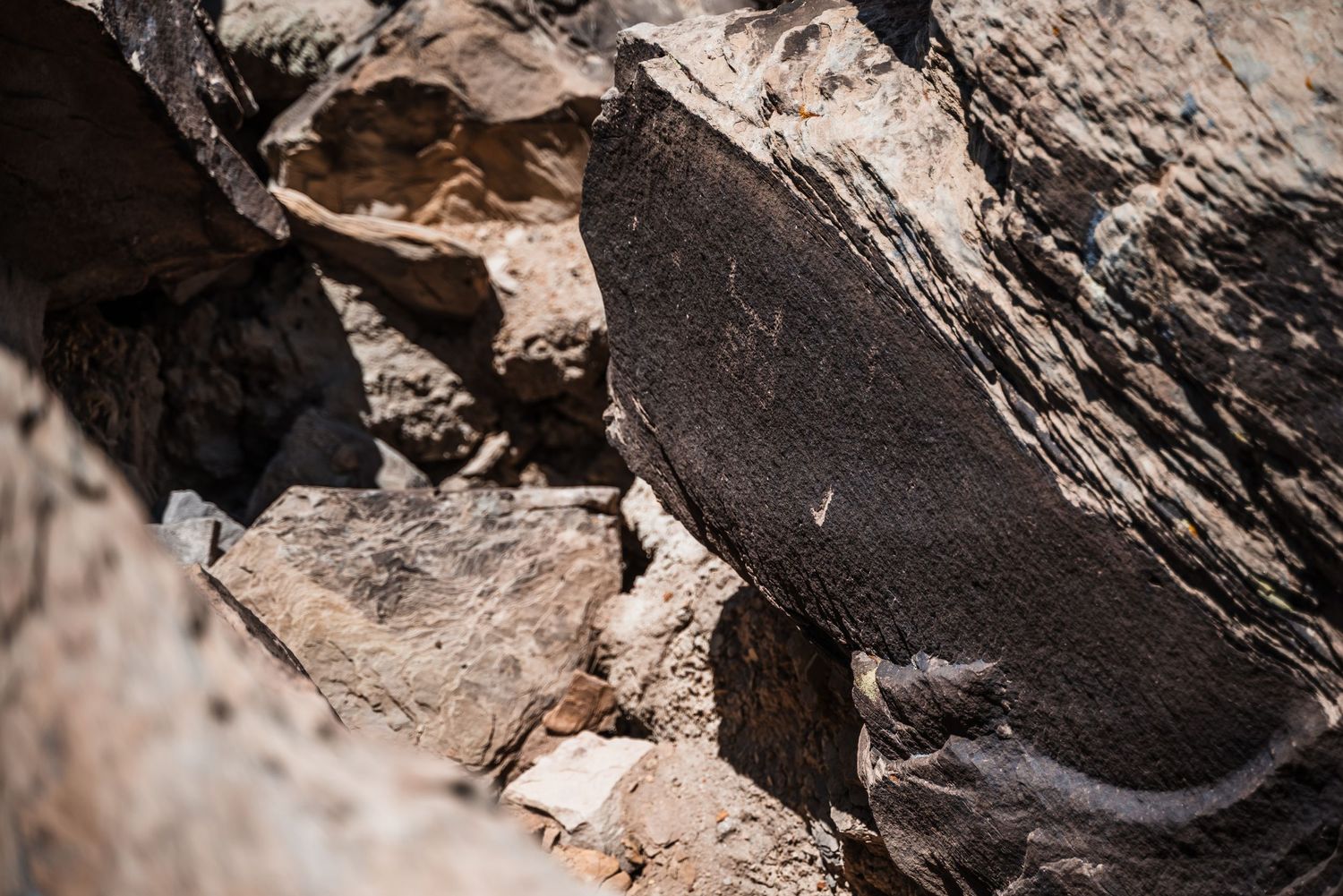 Dark textured rock surface with dramatic shadows and natural patterns.