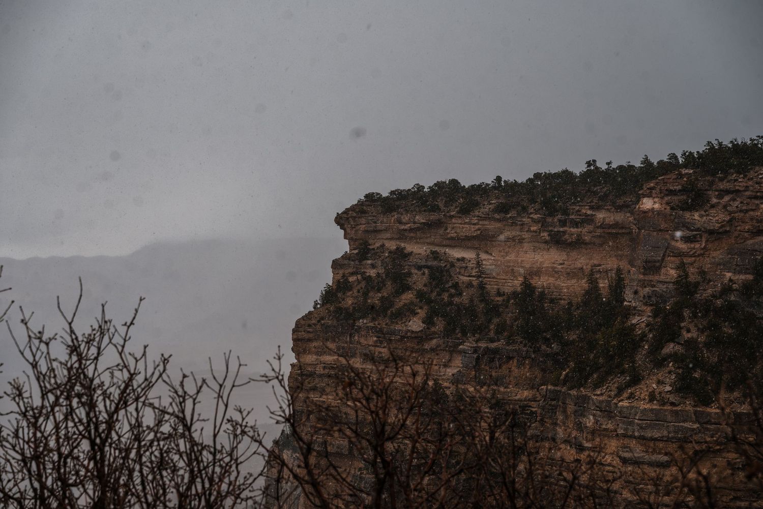 Misty canyon cliff edge with desert vegetation silhouetted against a stormy sky.