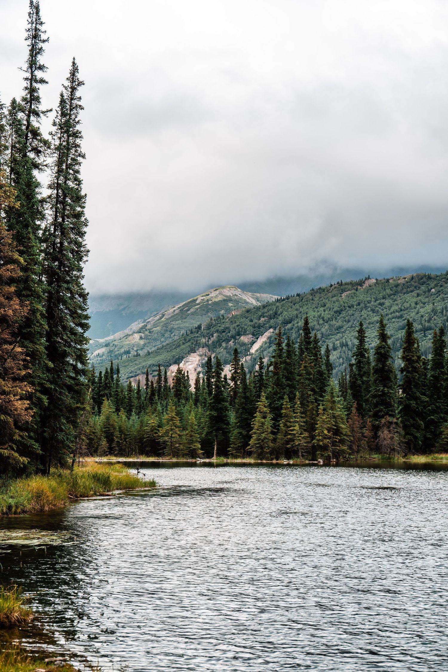 A mountain lake surrounded by evergreen forest reflects cloudy skies and distant misty peaks.