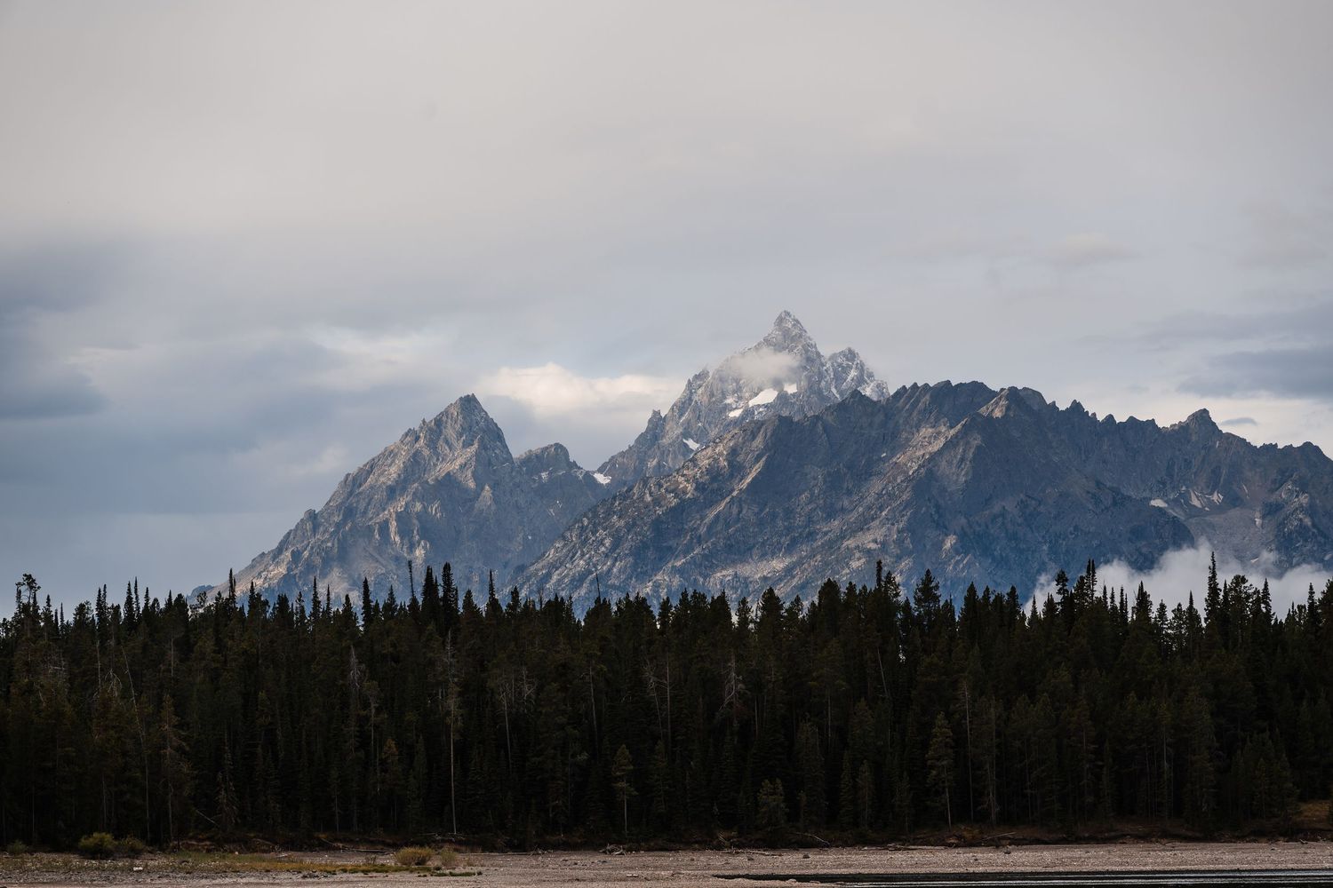 Snow-capped mountain peaks rise above a dense evergreen forest under cloudy skies in Grand Teton National Park.