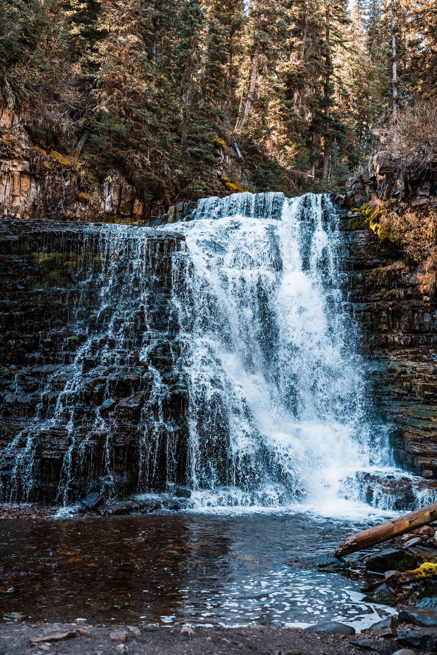 A series of cascading waterfalls flowing over rocky ledges in a forest setting during autumn.