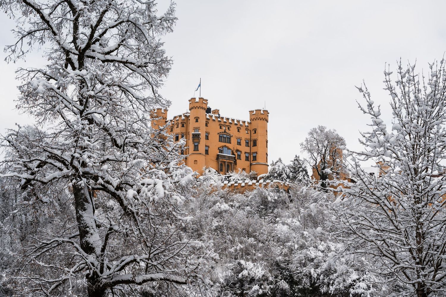 Snow covered trees frame historic brick buildings on a winter day against a cloudy grey sky.