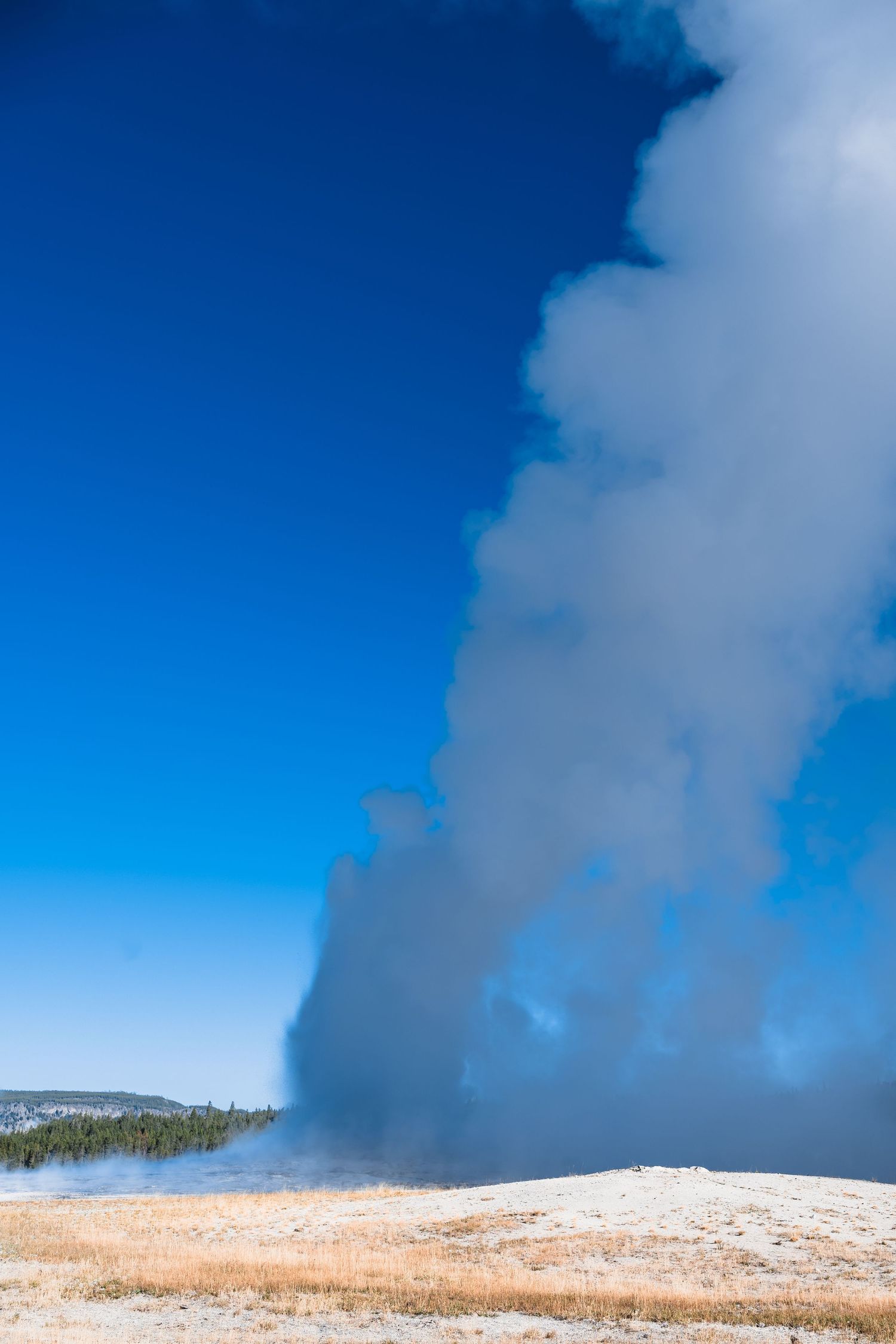 Steam rising from geothermal features against bright blue sky in Yellowstone National Park.