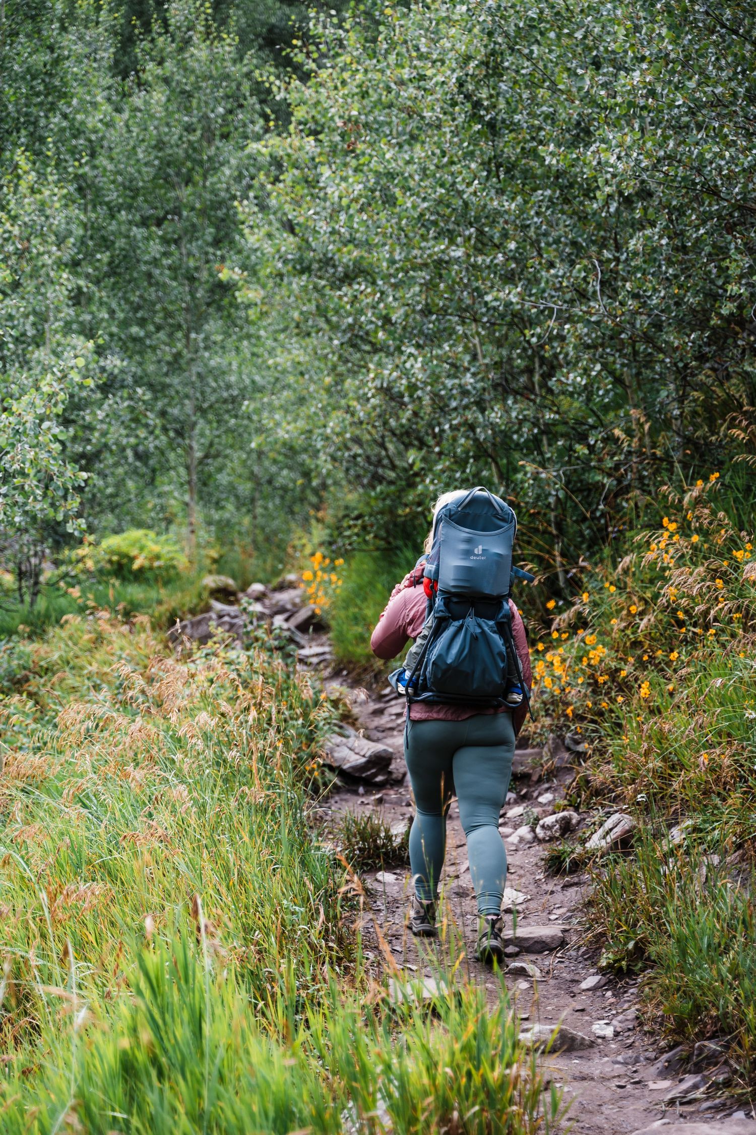 Hiker with backpack traversing a scenic mountain trail through lush green vegetation.