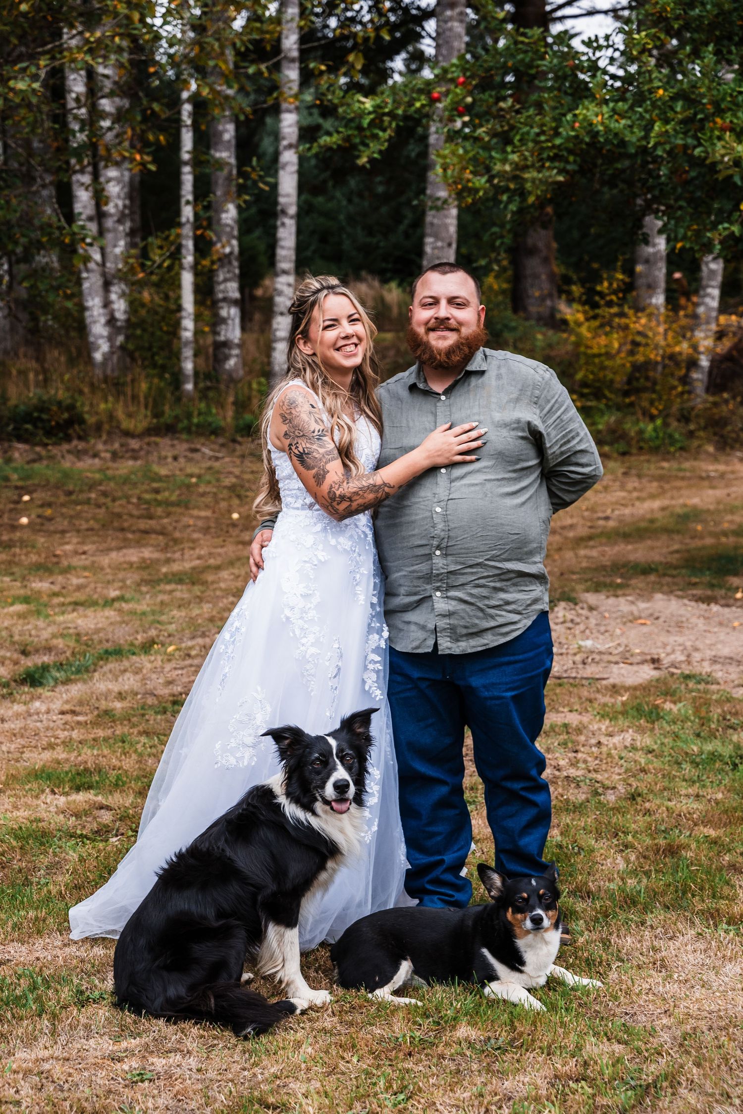 A couple poses with their two Border Collie dogs against a backdrop of birch trees.