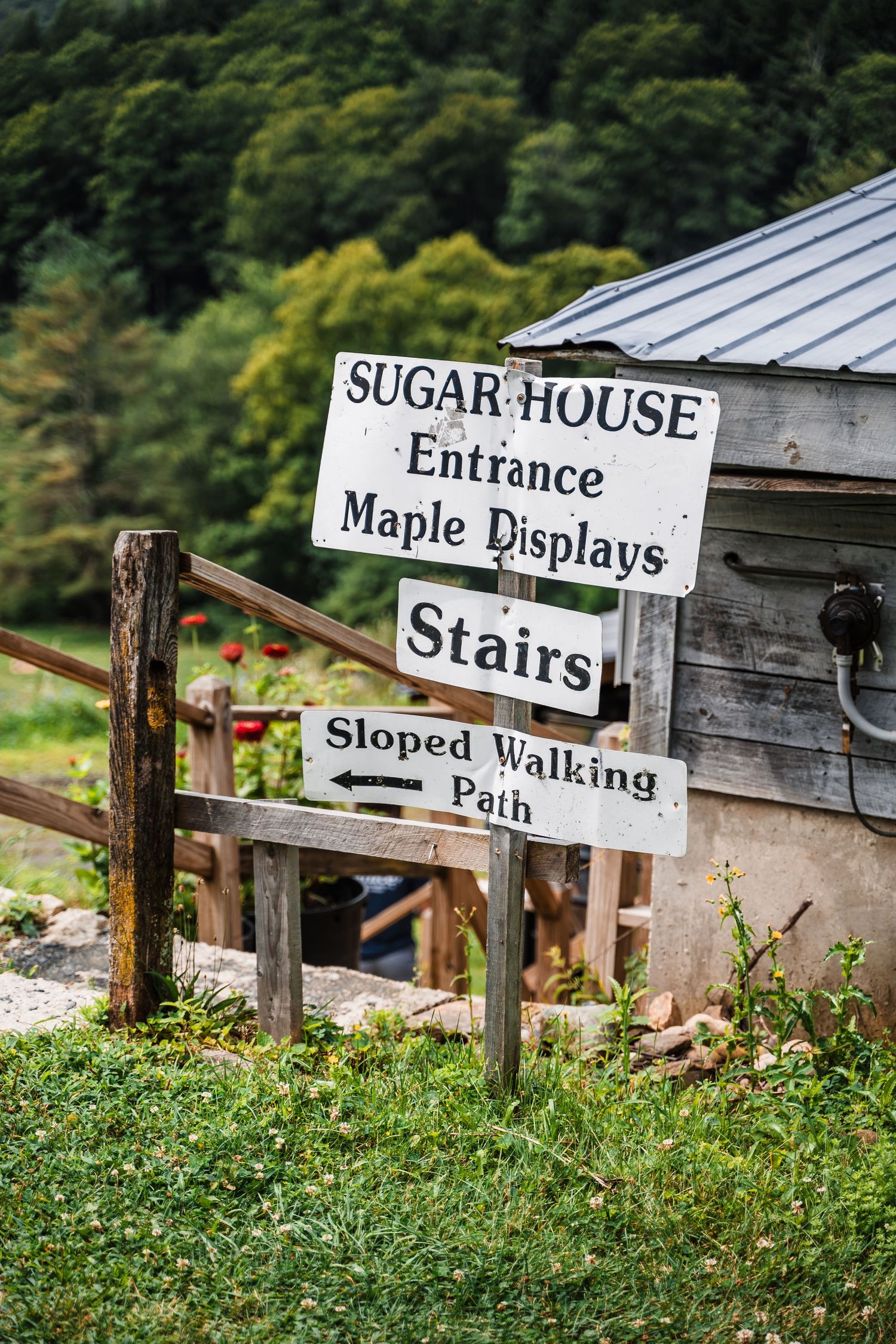 Rustic wooden signs pointing to Sugar House entrance, maple displays and stairs on a sloped walking path.