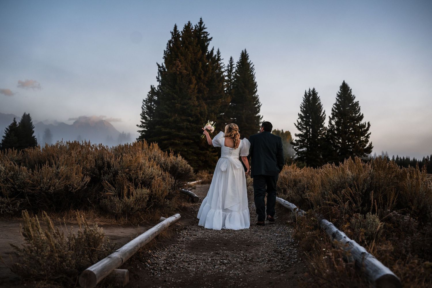 Silhouettes of evergreen trees frame a mountain landscape at dusk.
