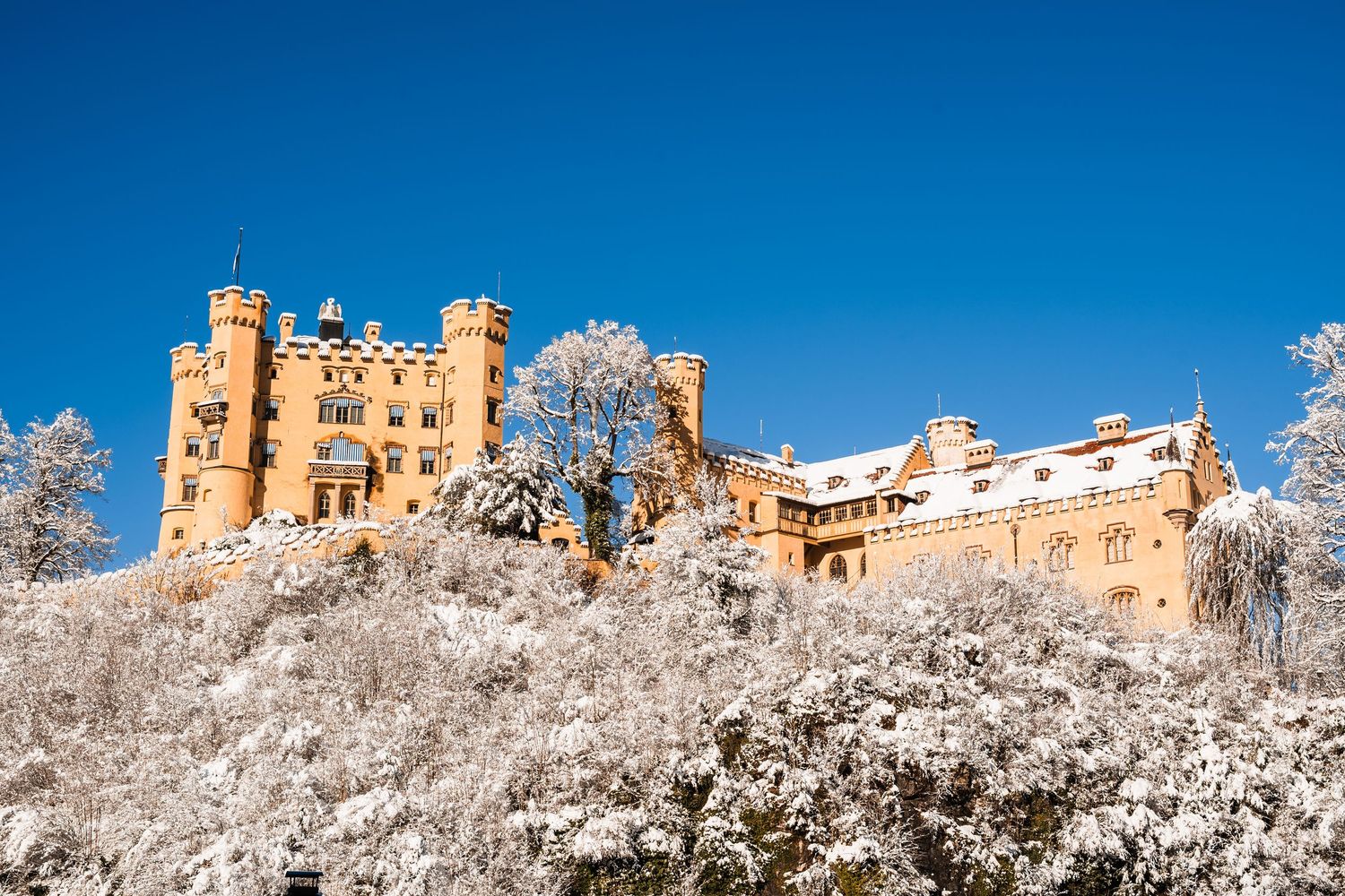 Panoramic view of Hohenschwangau Castle with snow covered trees against bright blue winter sky.