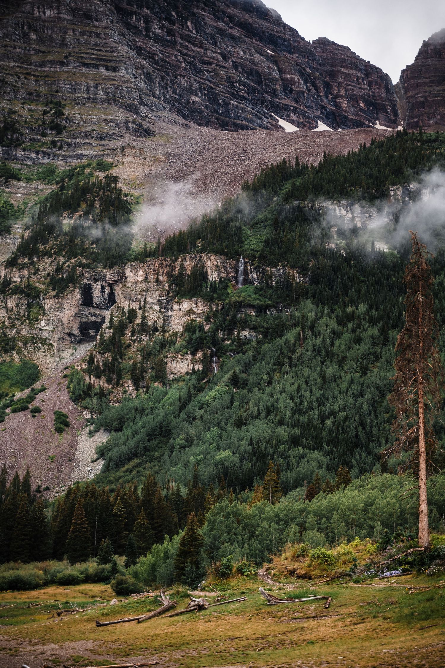 Majestic mountain landscape with misty clouds drifting through evergreen forest and rocky cliffs.