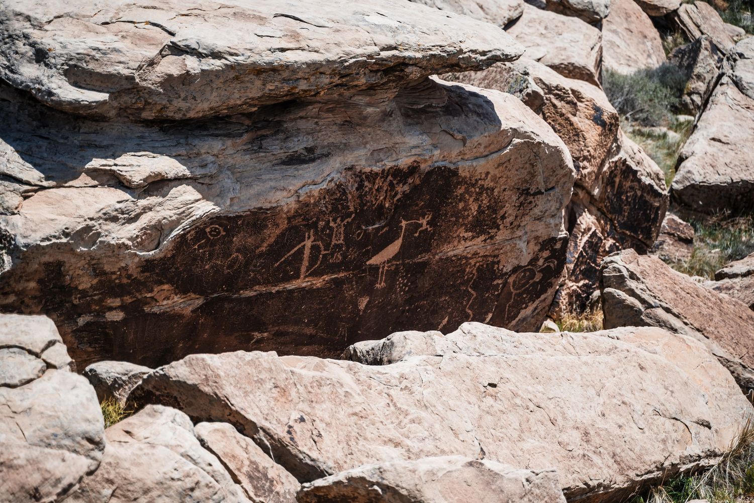 Ancient petroglyphs carved into reddish-brown rock face in desert setting.