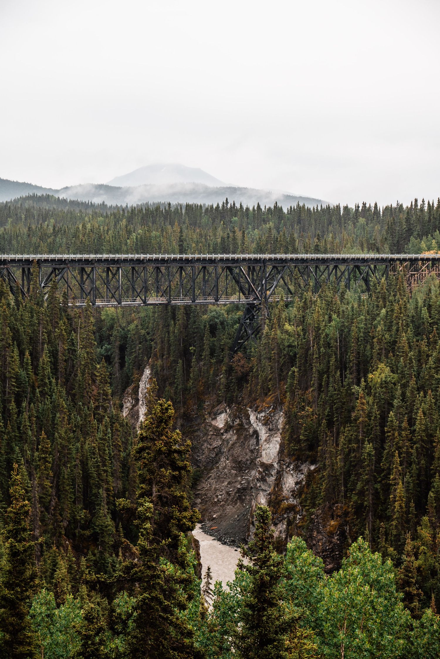 Long steel bridge spans across a deep forested canyon with misty mountains in the background.