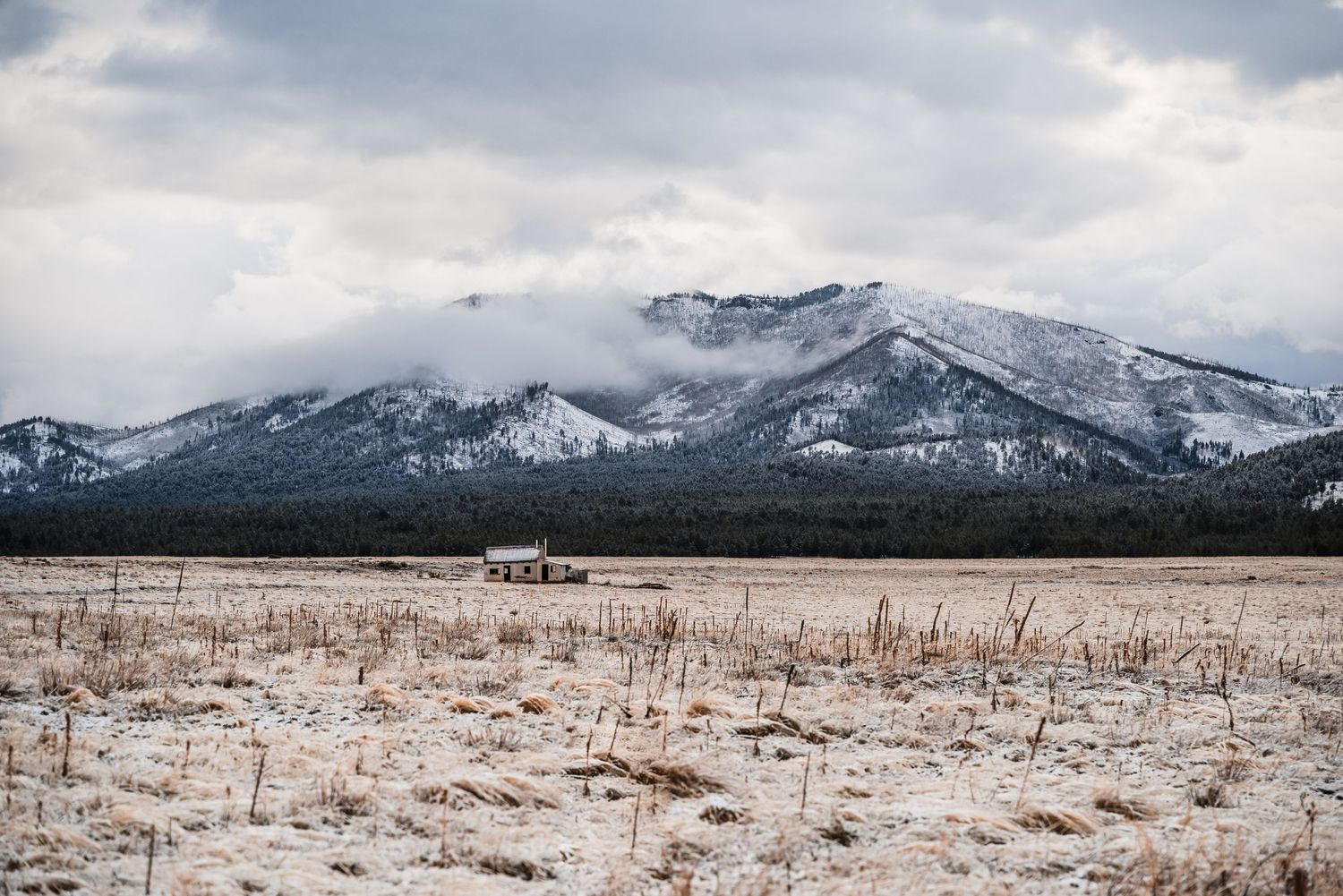 Snow-covered mountain peaks rise above a winter field with dried grass and snow patches in the foreground.