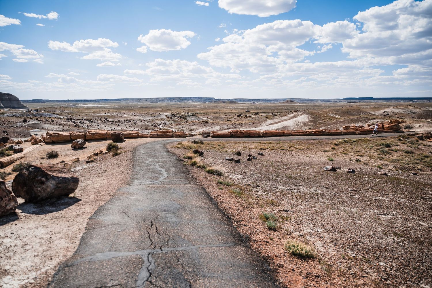 Winding paved road through arid desert landscape under blue skies with white clouds.