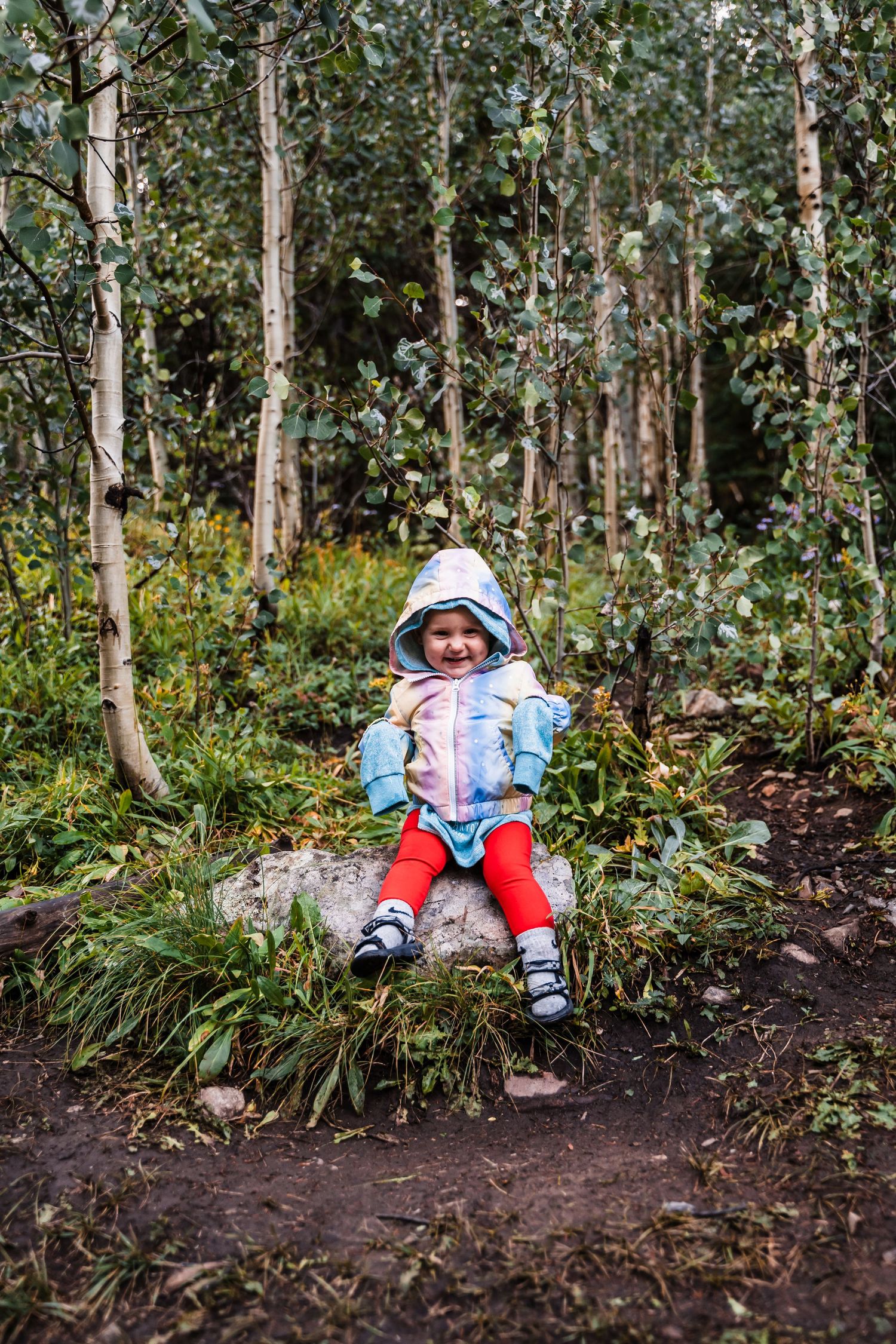 A small figure rests on a rock among birch trees along a forest trail.
