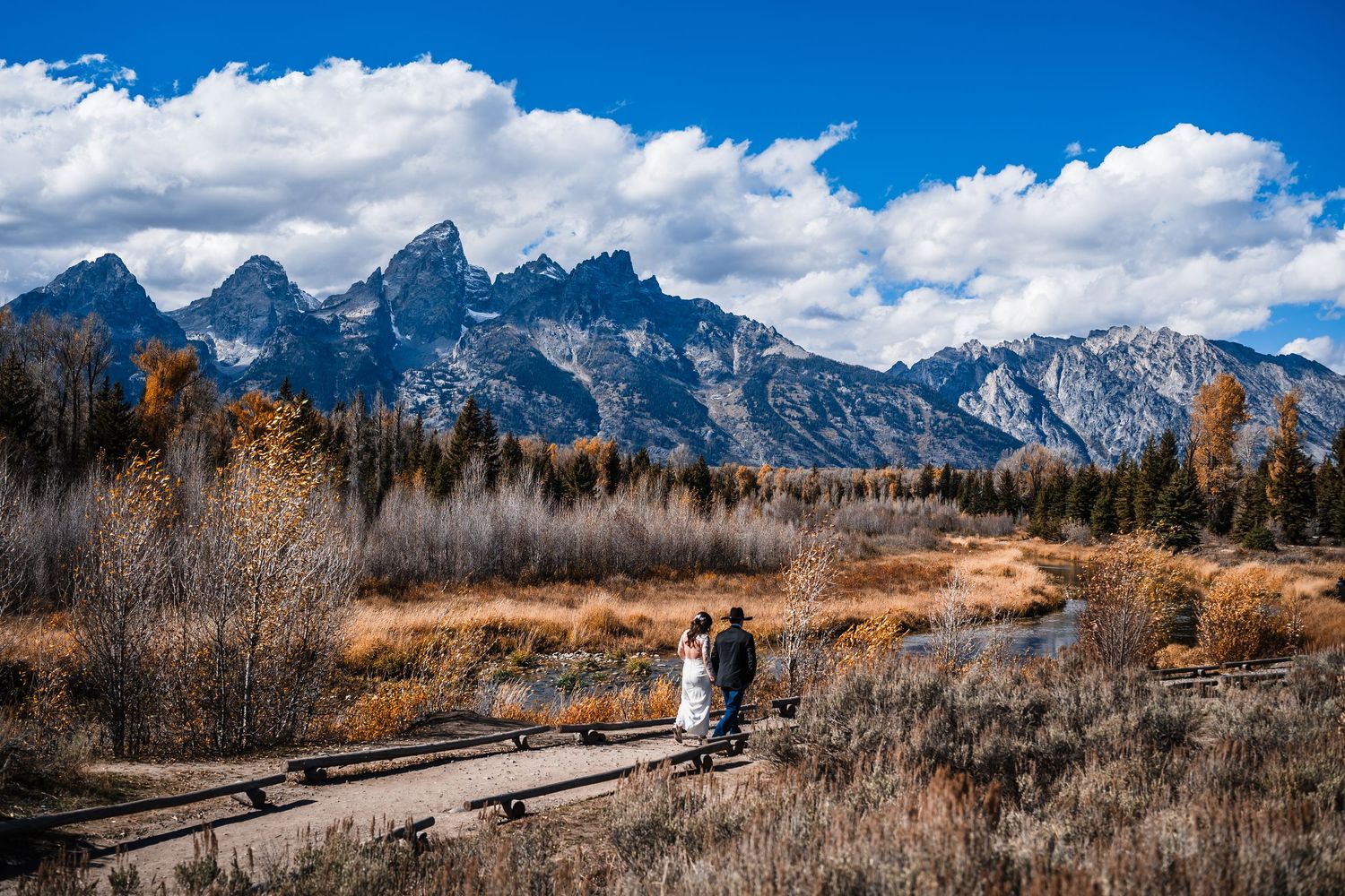 Panoramic view of snow-capped Grand Teton mountains with autumn foliage and brush in the foreground.