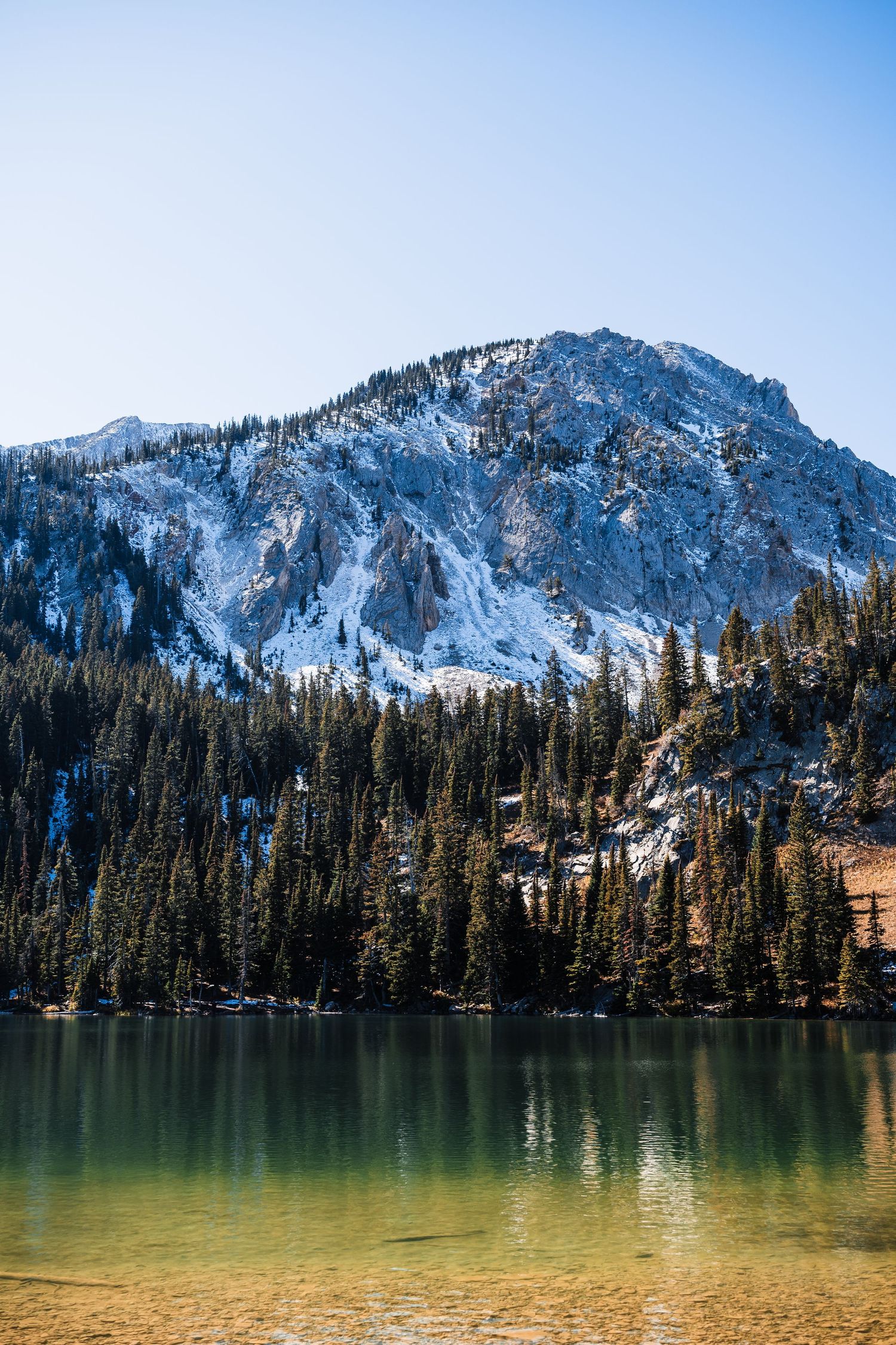 Snow-capped mountain peaks tower over a pristine alpine lake surrounded by evergreen forest on a clear sunny day.