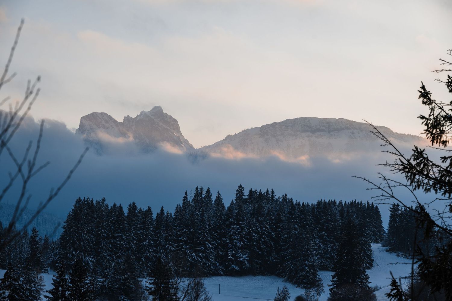 Misty mountain peaks rise above snow-covered evergreen forest in winter landscape.