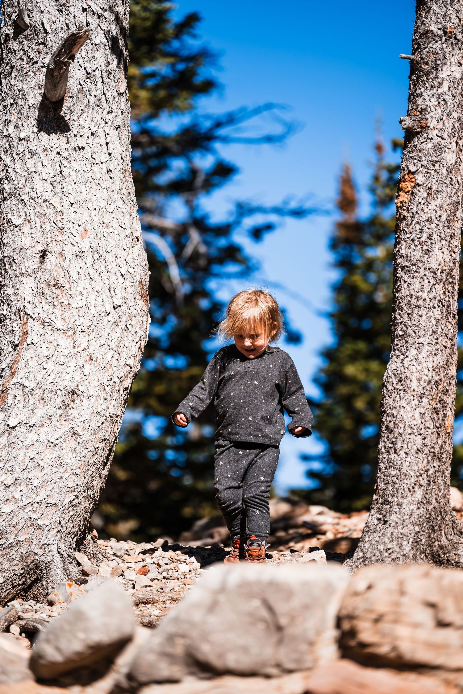 Person in gray jacket walks among tall tree trunks on a rocky mountain trail on a sunny day.