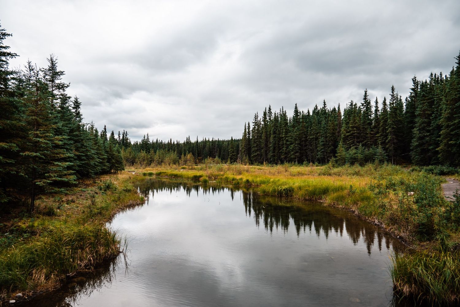 A serene pond reflects evergreen trees and cloudy skies in a remote wilderness setting.