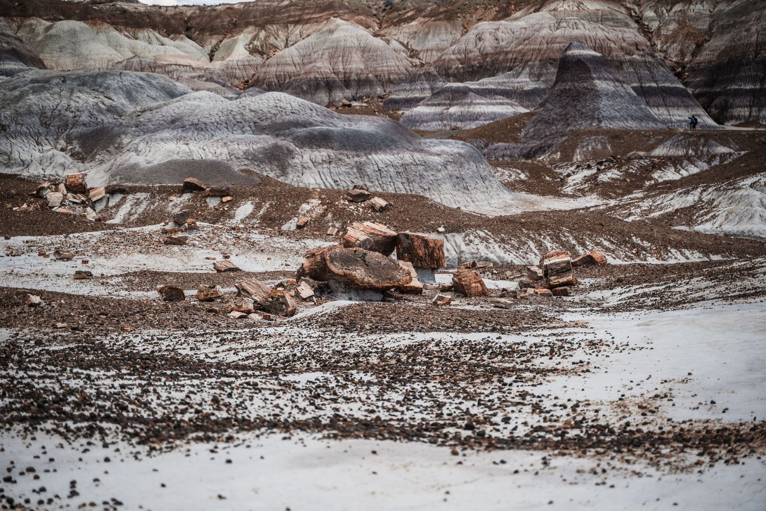 Layered rock formations in desert terrain showing striped patterns of brown and white sediment.