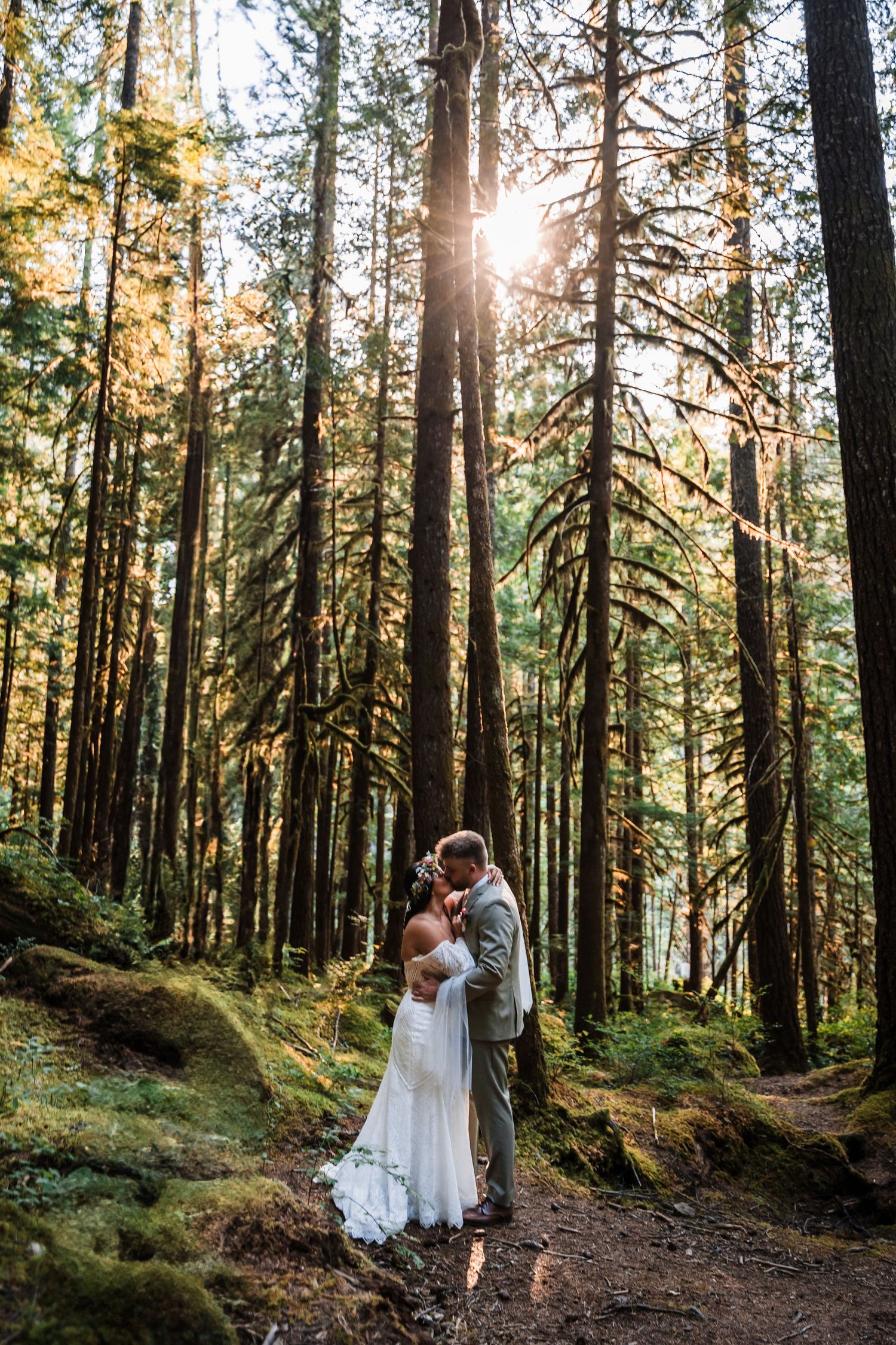 A couple embraces in a sunlit forest with tall evergreen trees and golden sunbeams filtering through.