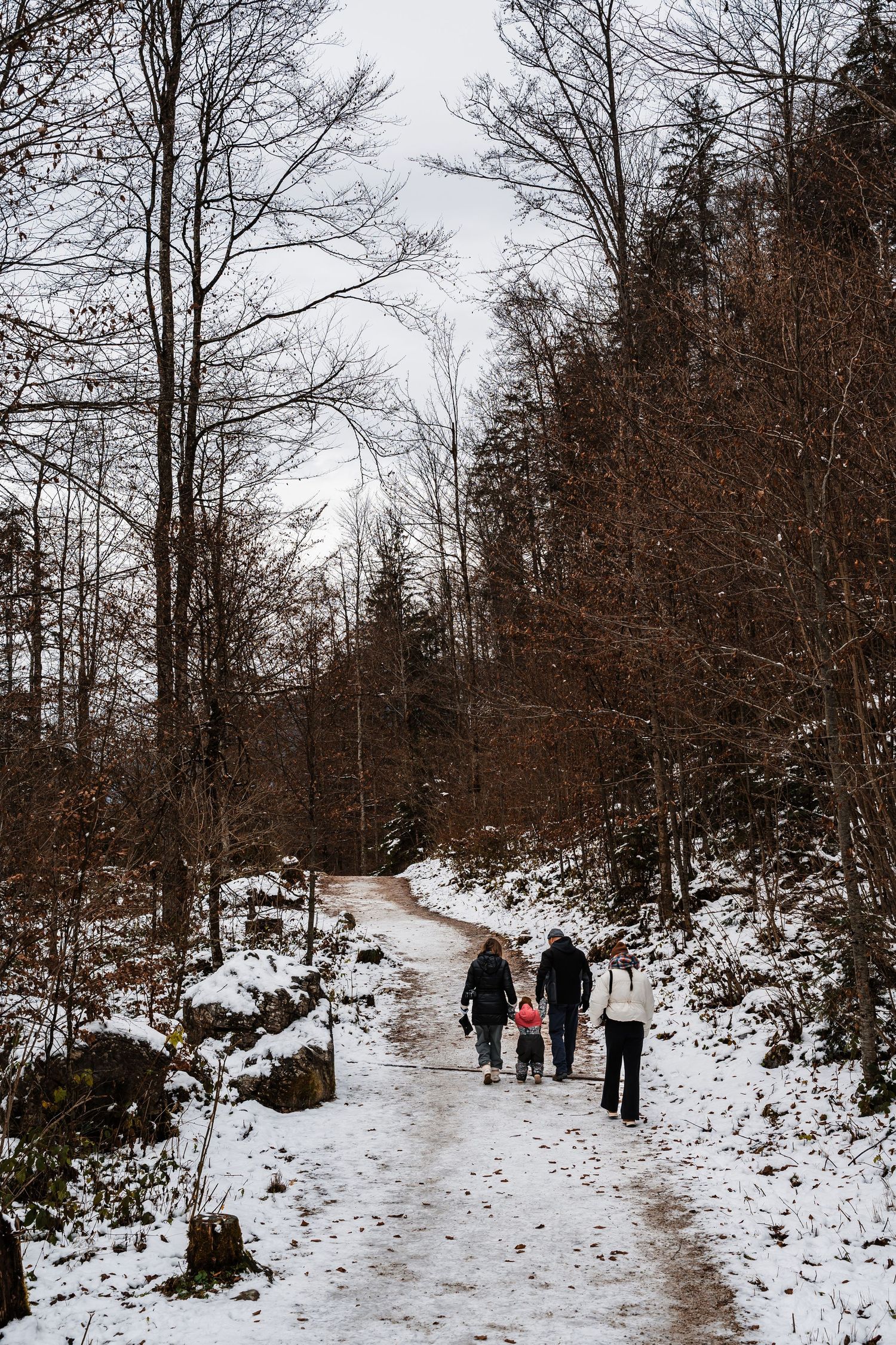 People walking along a snowy forest trail surrounded by bare winter trees and snow-covered ground on a cloudy day.