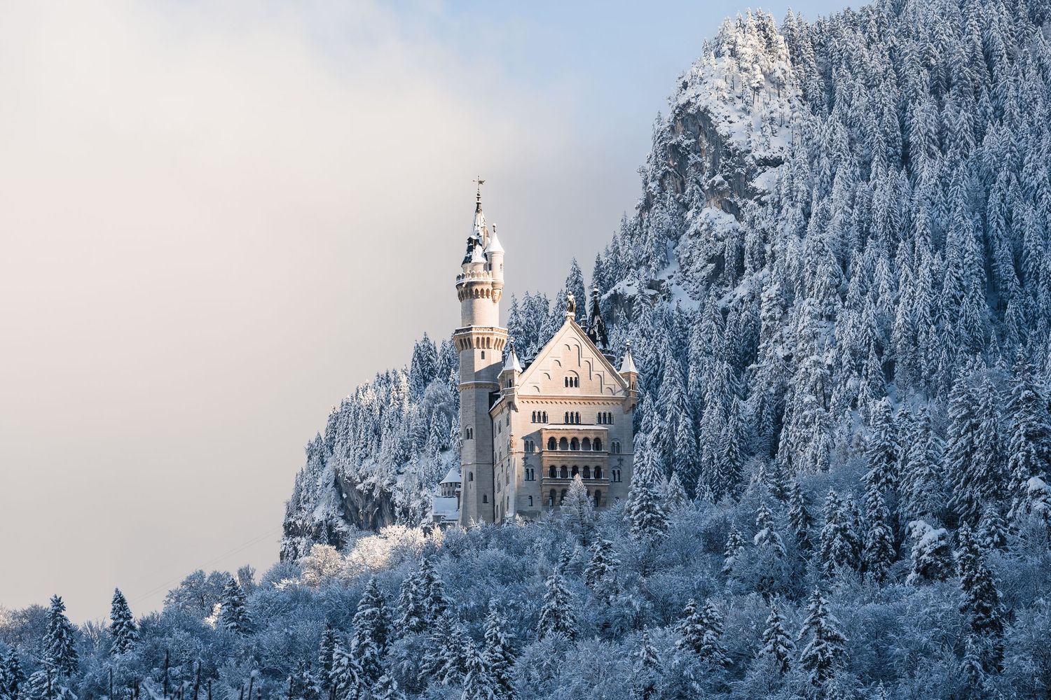 Neuschwanstein Castle perches dramatically on a snowy mountainside with evergreen trees in Bavaria.