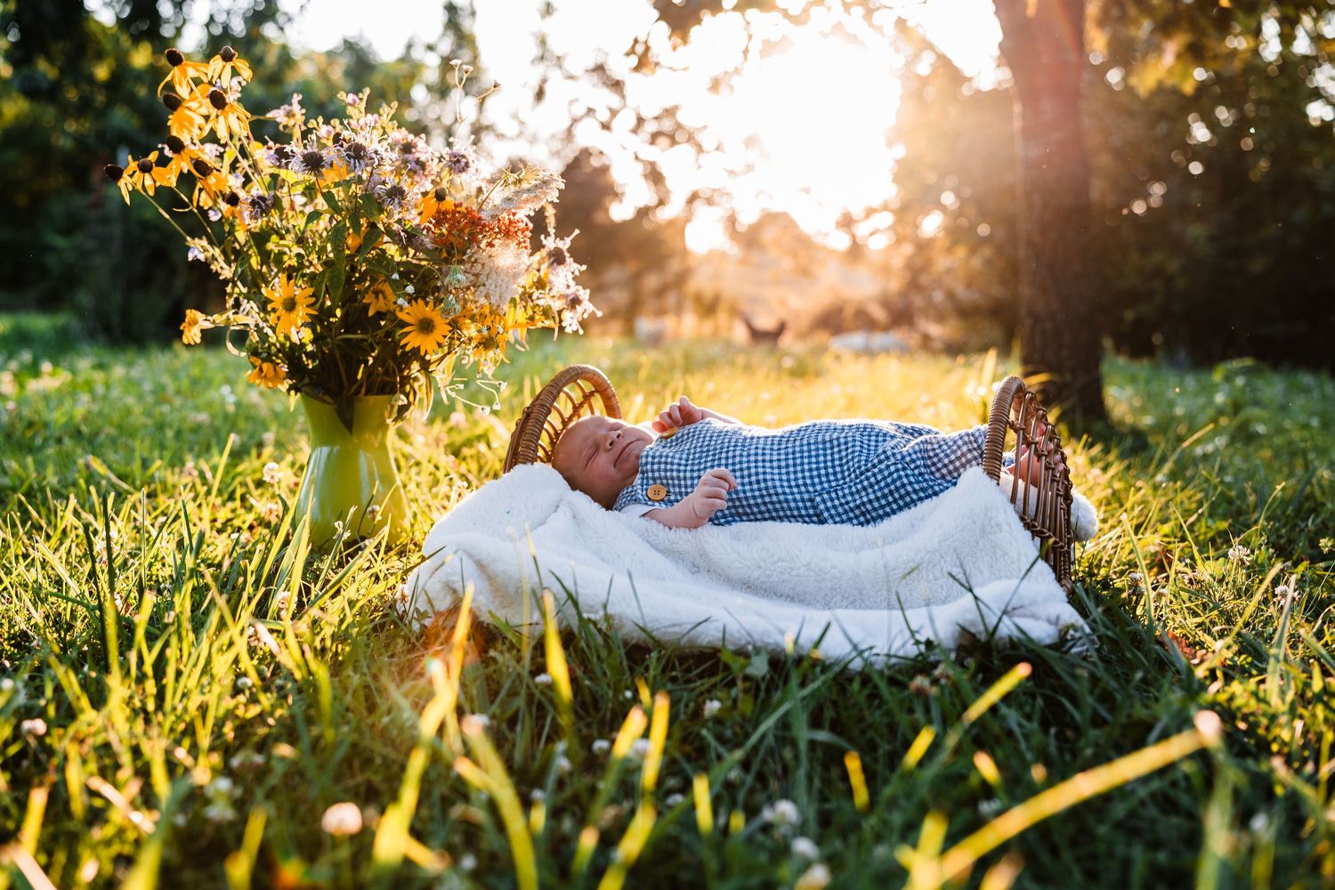 Couple lying in tall grass during golden hour with sunlight streaming through.