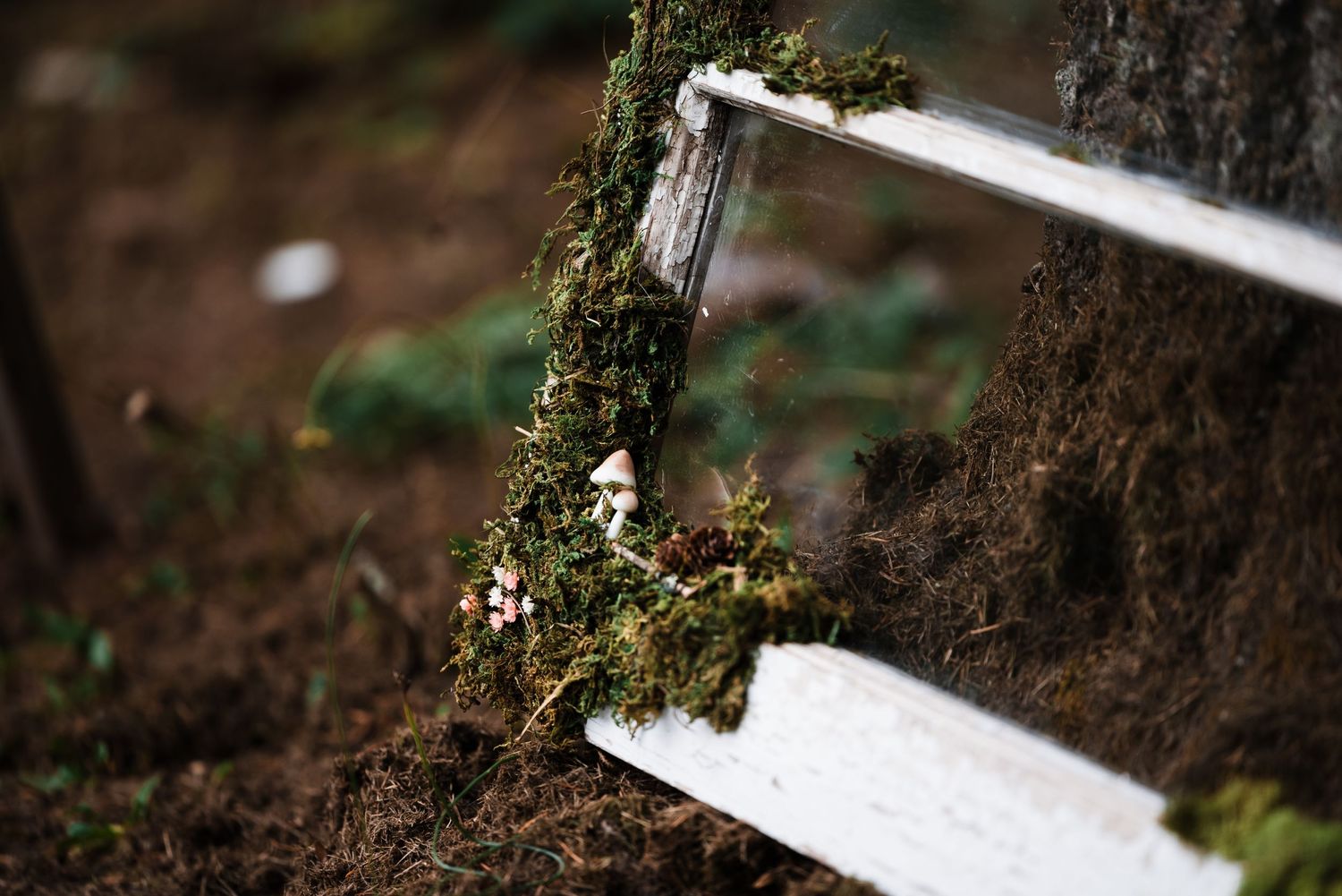 White ribbons with moss decorations tied to a tree trunk in a forest setting.