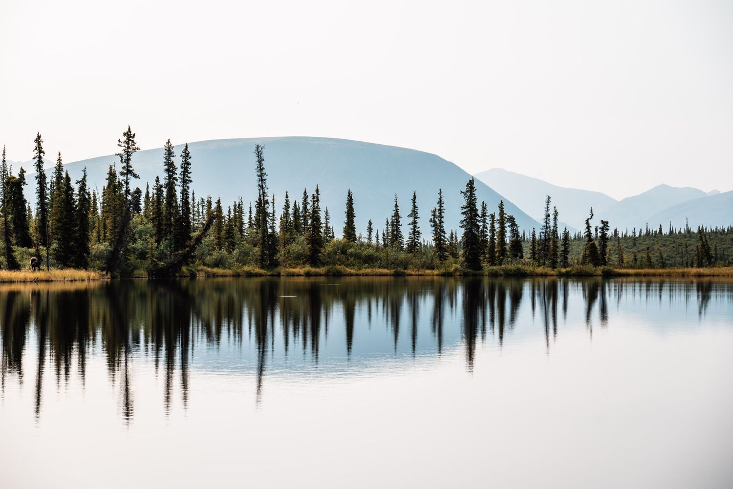 Tranquil lake reflects evergreen trees and distant mountains in pristine wilderness landscape.