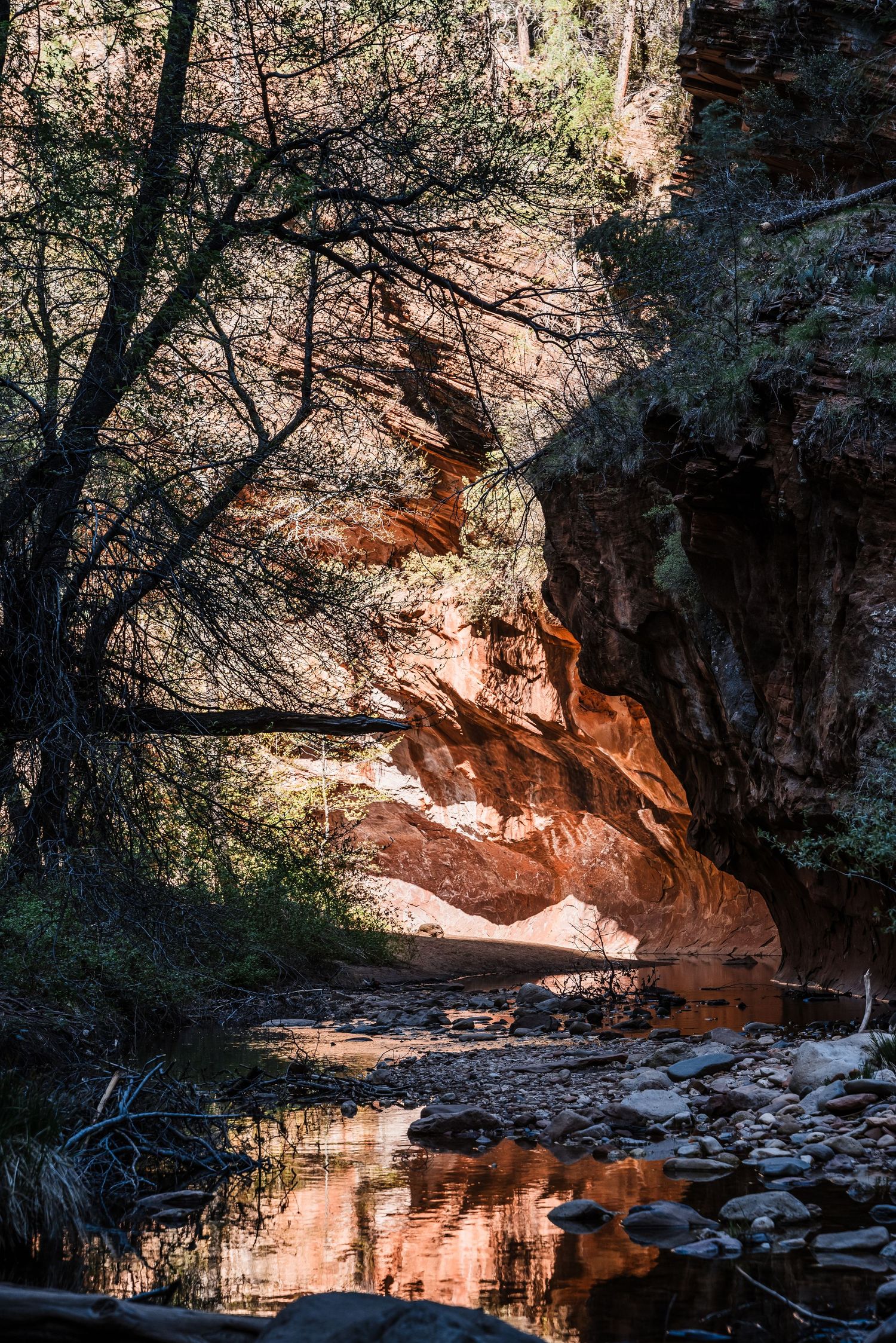 Natural rock arch reflects in still water with dramatic lighting filtering through trees.