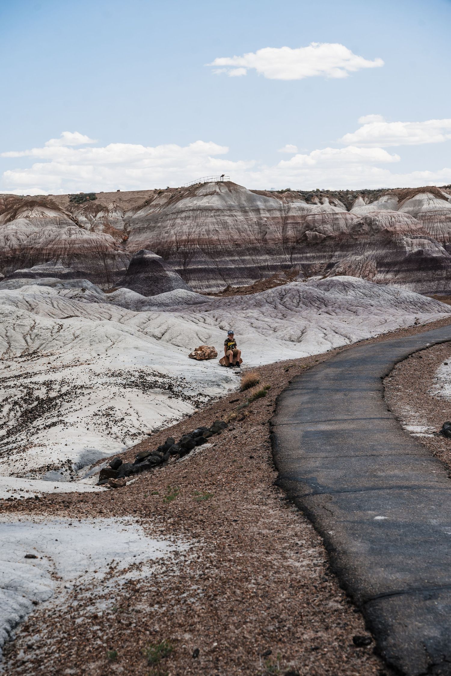 A winding paved path cuts through the striped badlands formations at Petrified Forest National Park under blue skies.