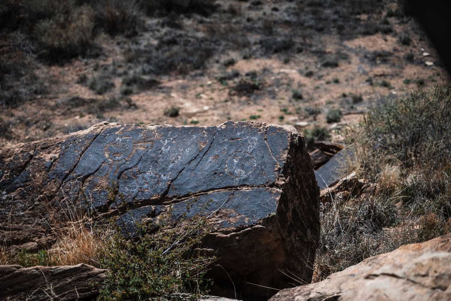 Large flat rock formation in desert landscape with scrub brush.
