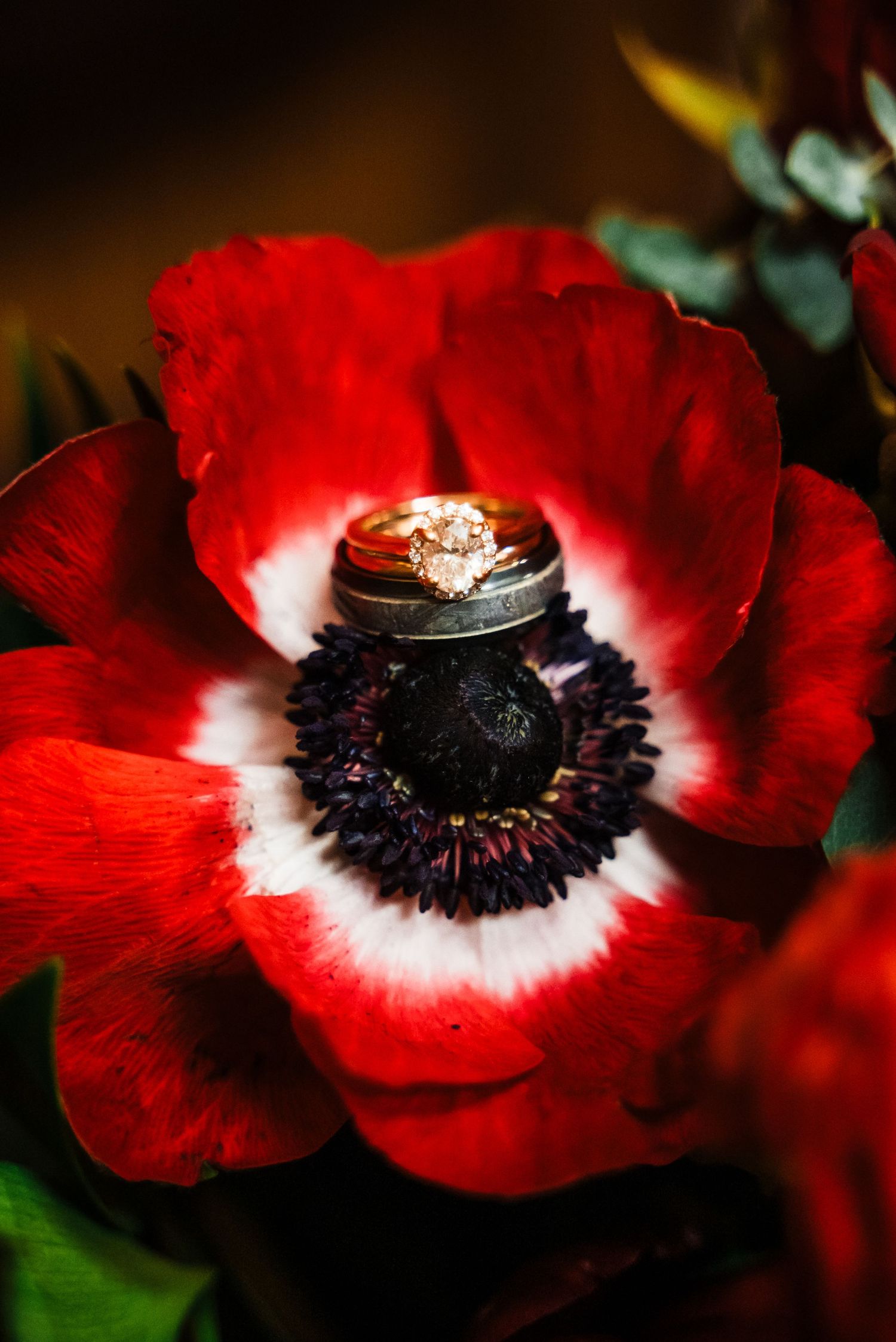 Wedding rings nestled in the center of a bright red anemone flower in macro photography.