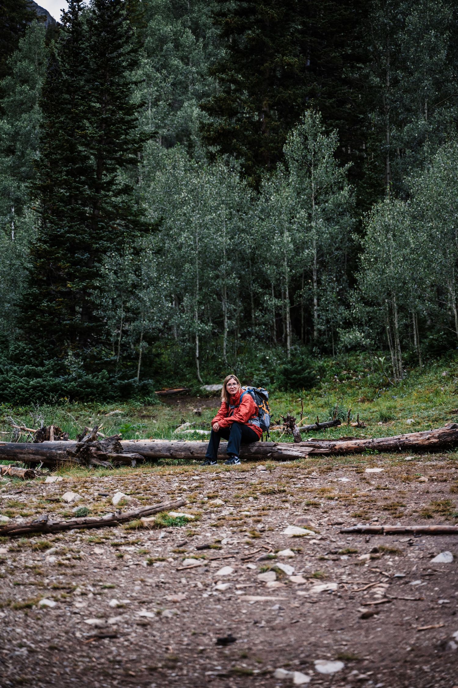 Hiker takes a rest break on fallen logs in a serene forest setting.