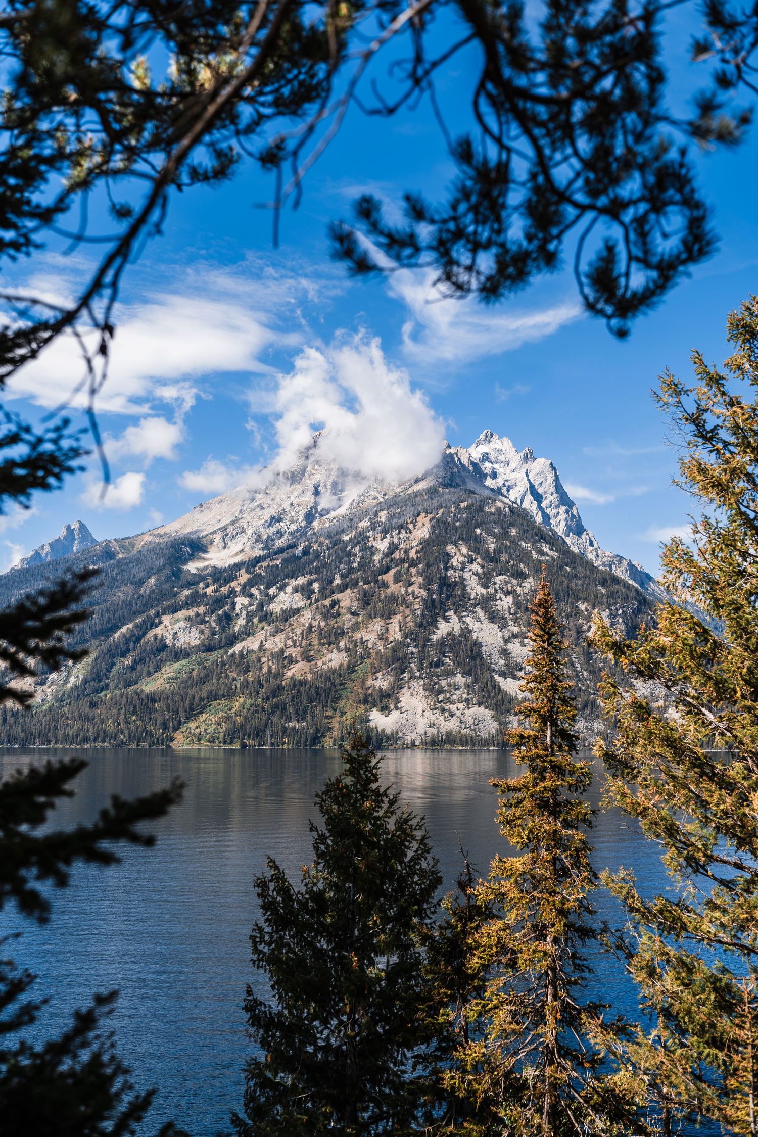 Panoramic view of snow-capped Grand Teton mountains reflecting in Jenny Lake under blue skies.