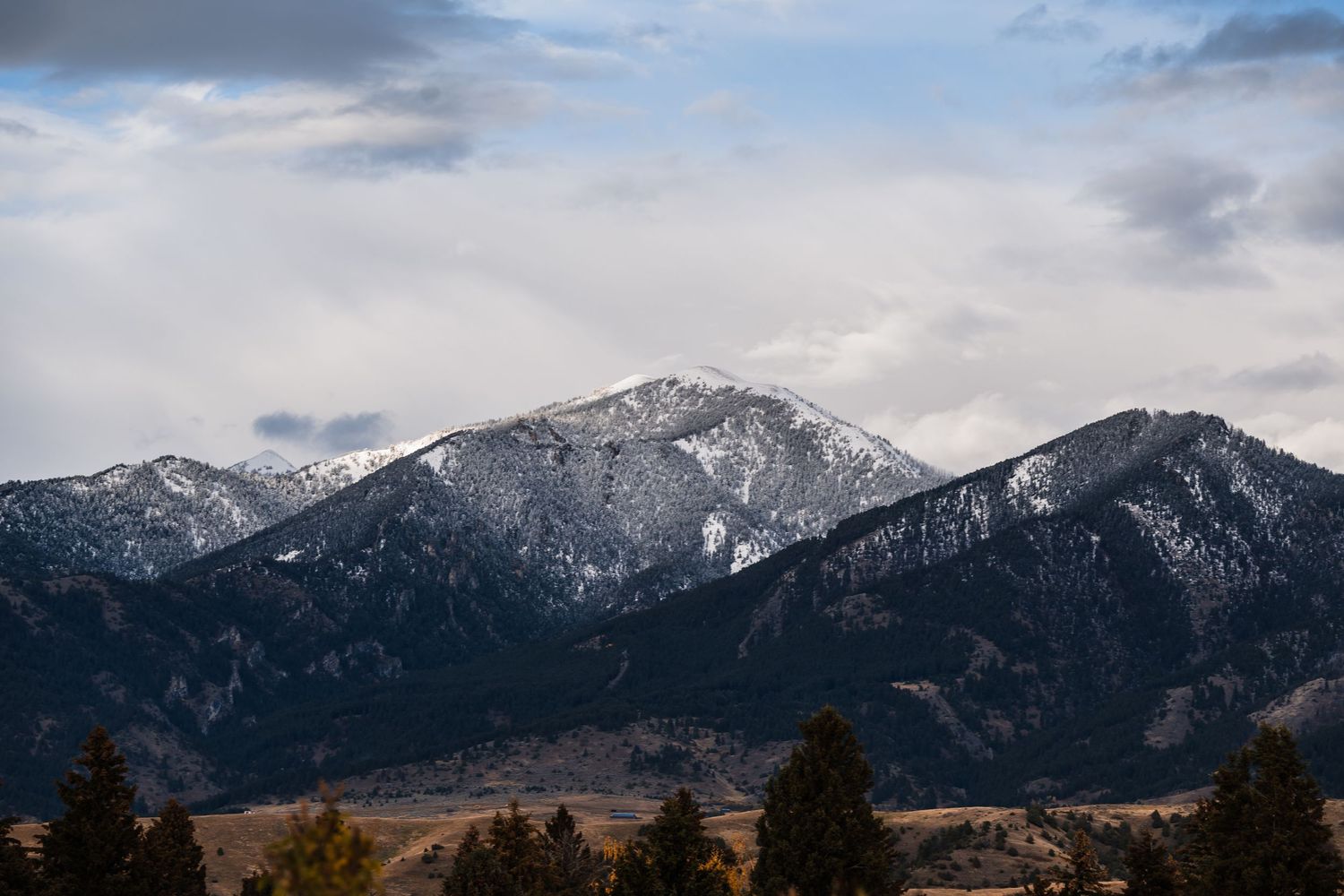 Snow-capped mountain peaks rise above evergreen trees under cloudy skies in a dramatic winter landscape.