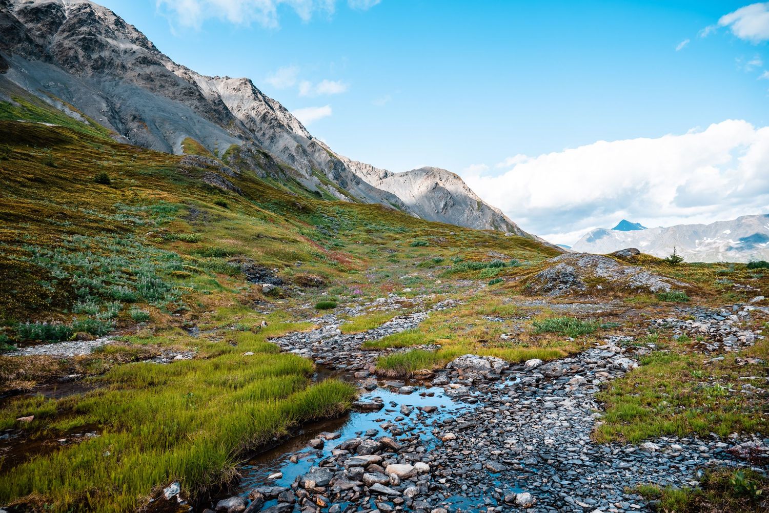 A rocky mountain stream flows through alpine meadows with rugged peaks and blue sky in the background.