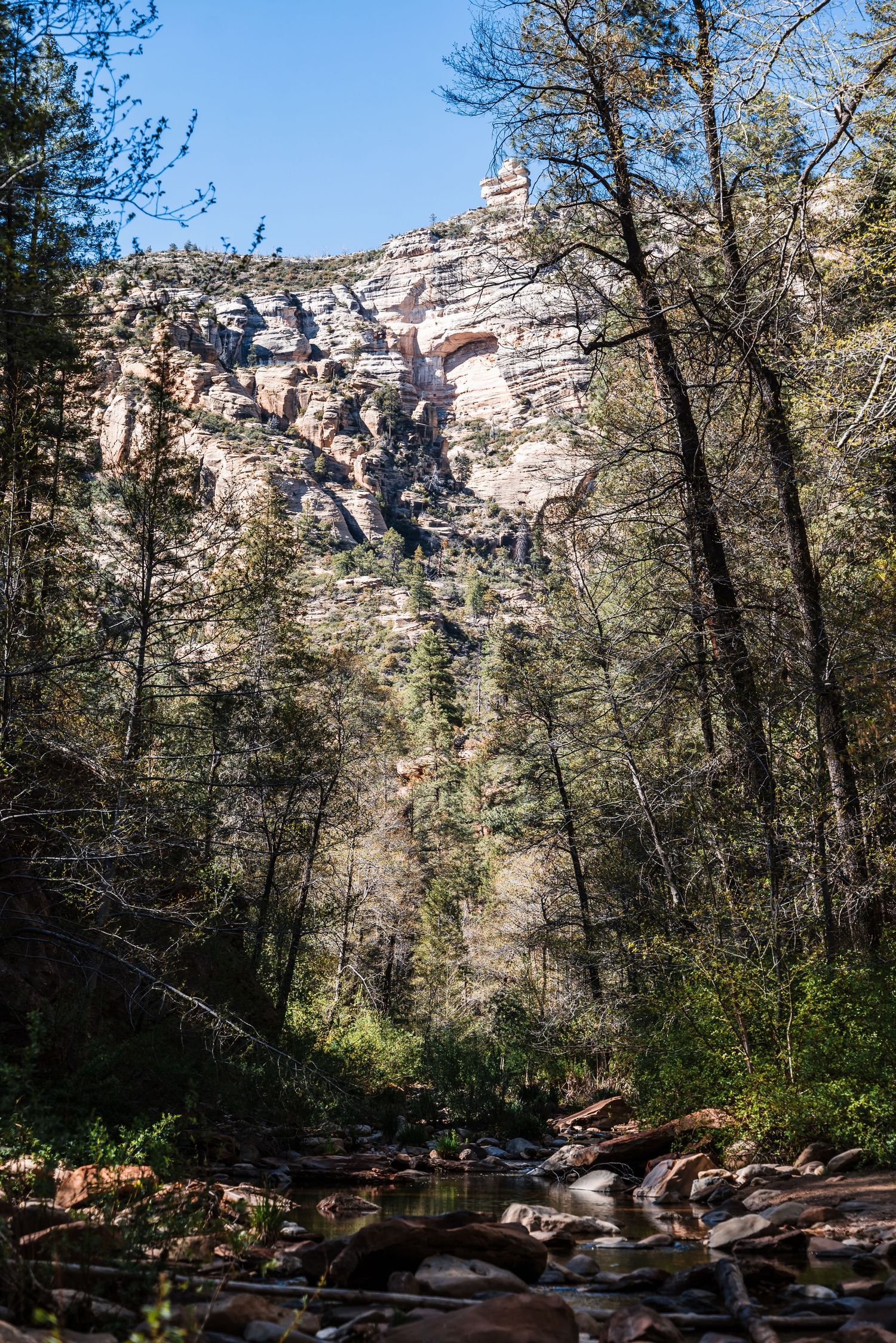 Scenic waterfall cascades down a tall limestone cliff face surrounded by evergreen trees in a rocky forest setting.