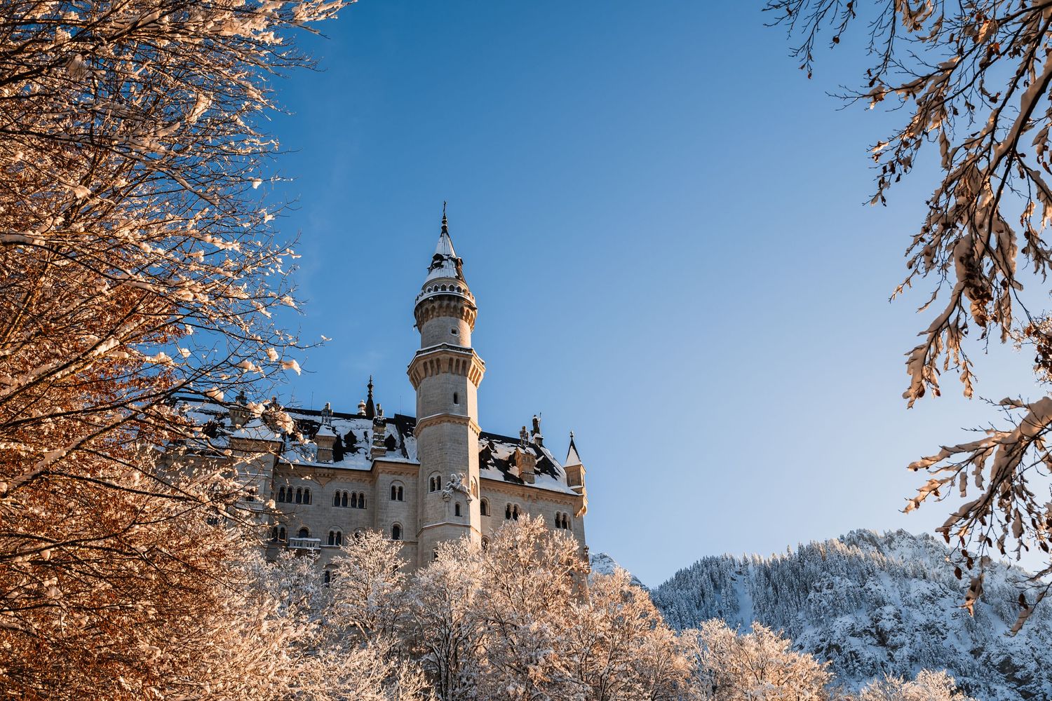 Snow-covered castle tower rises against a bright blue winter sky with frosted tree branches.