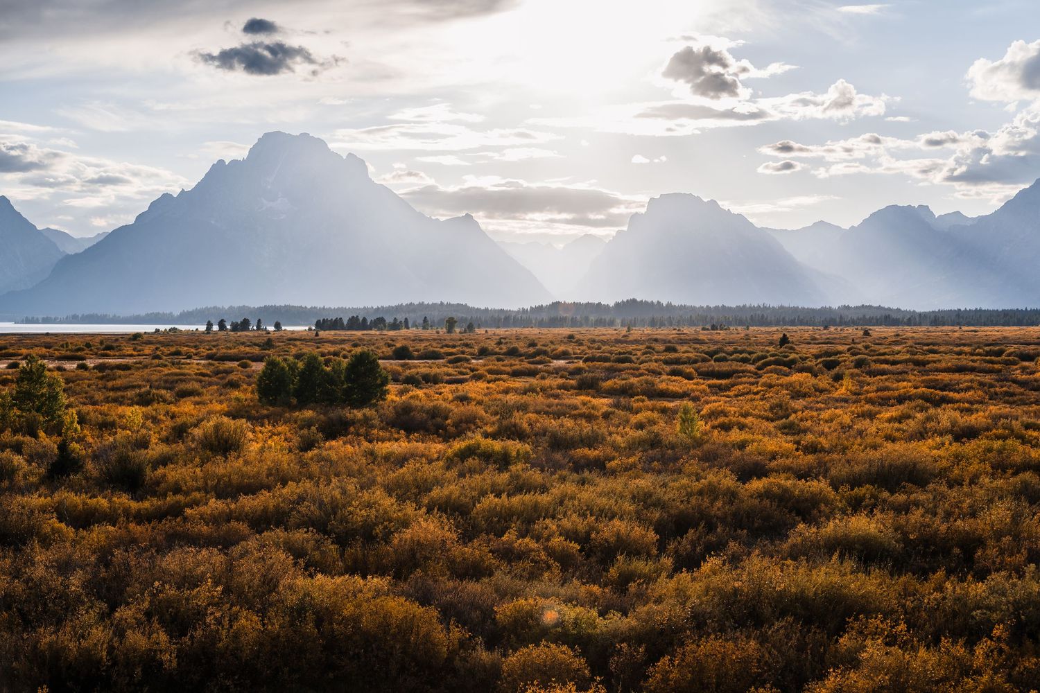 Sweeping vista of golden sagebrush plains with distant mountains at sunset.
