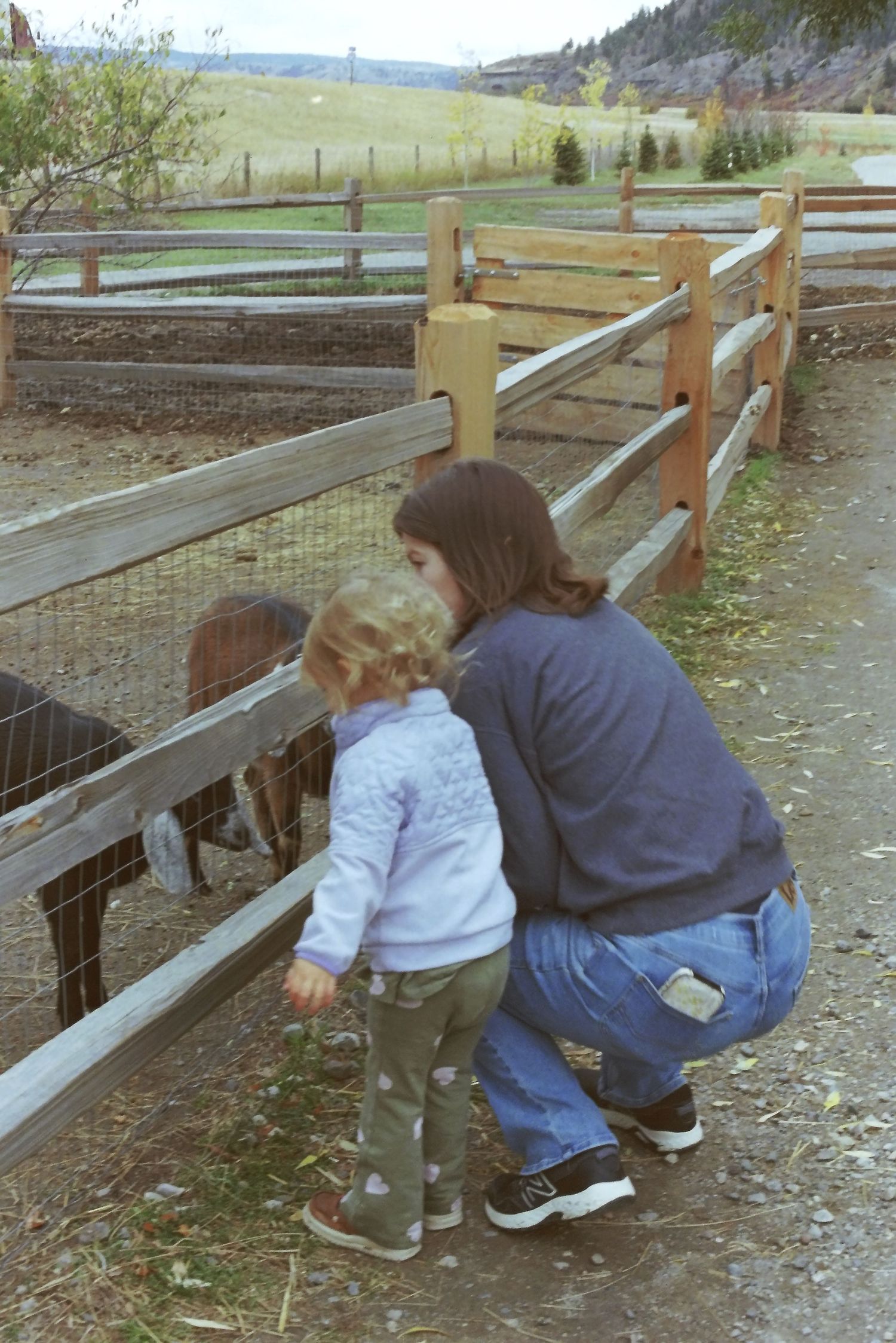 Two people lean over a wooden fence to look at something in an outdoor farm or ranch setting.