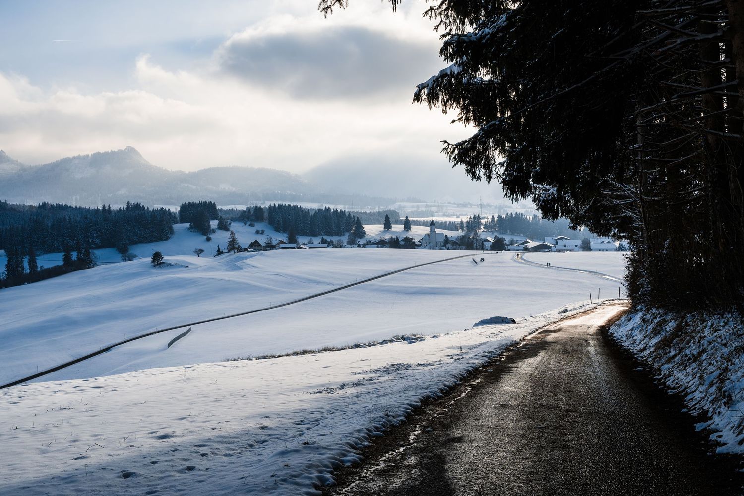 Snow-covered mountain landscape with dark evergreen trees and cloudy winter sky in panoramic view.