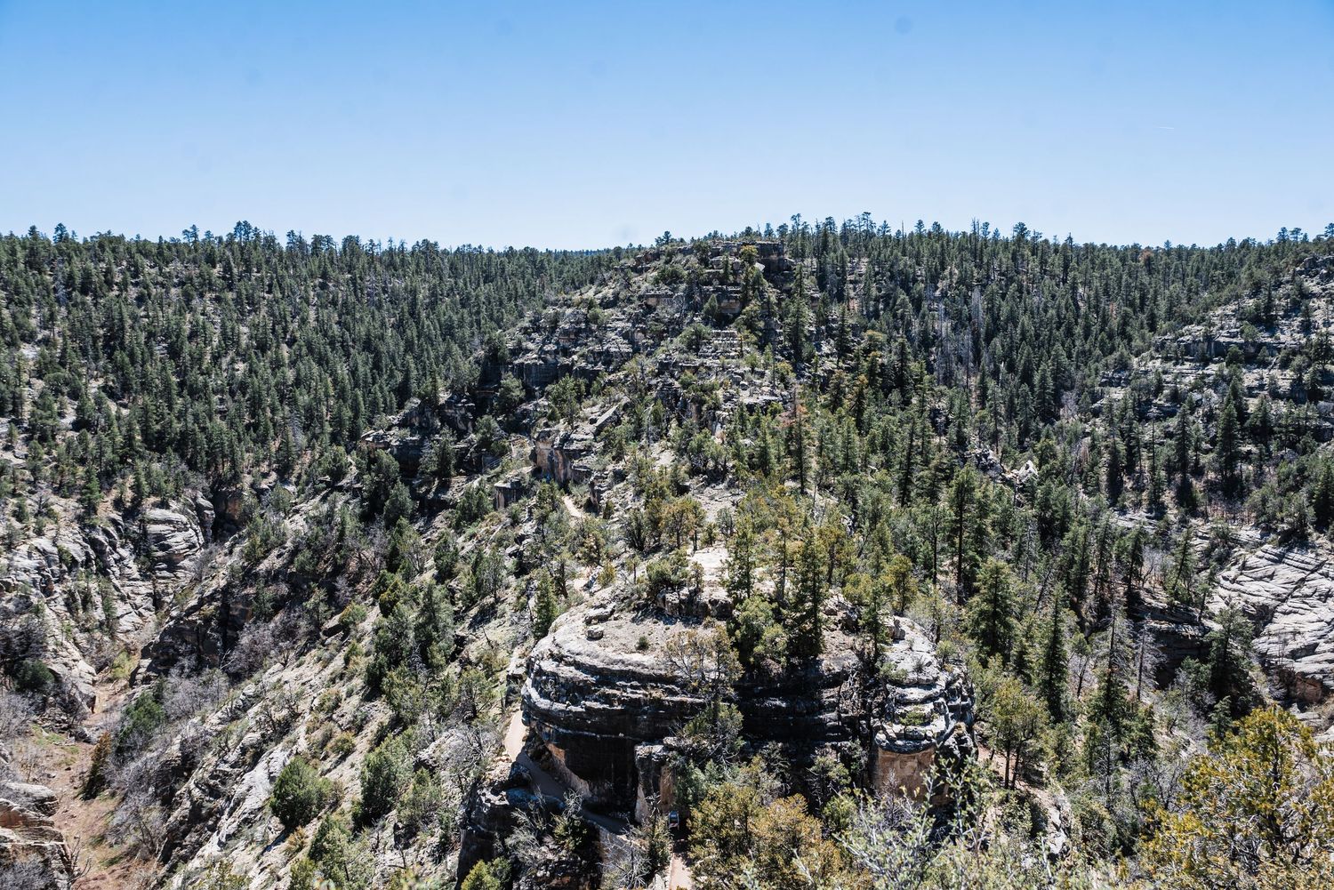 Rocky cliff formations and dense evergreen forest in Walnut Canyon National Monument, Arizona.