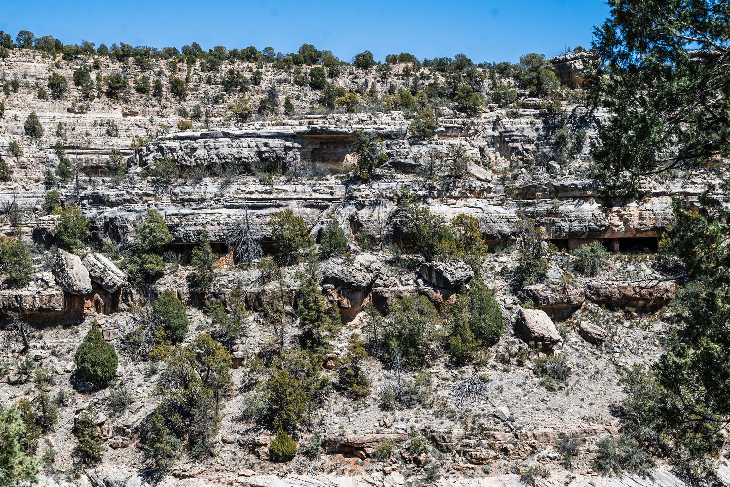 Layered limestone cliffs and rock formations with sparse vegetation at Walnut Canyon National Monument.