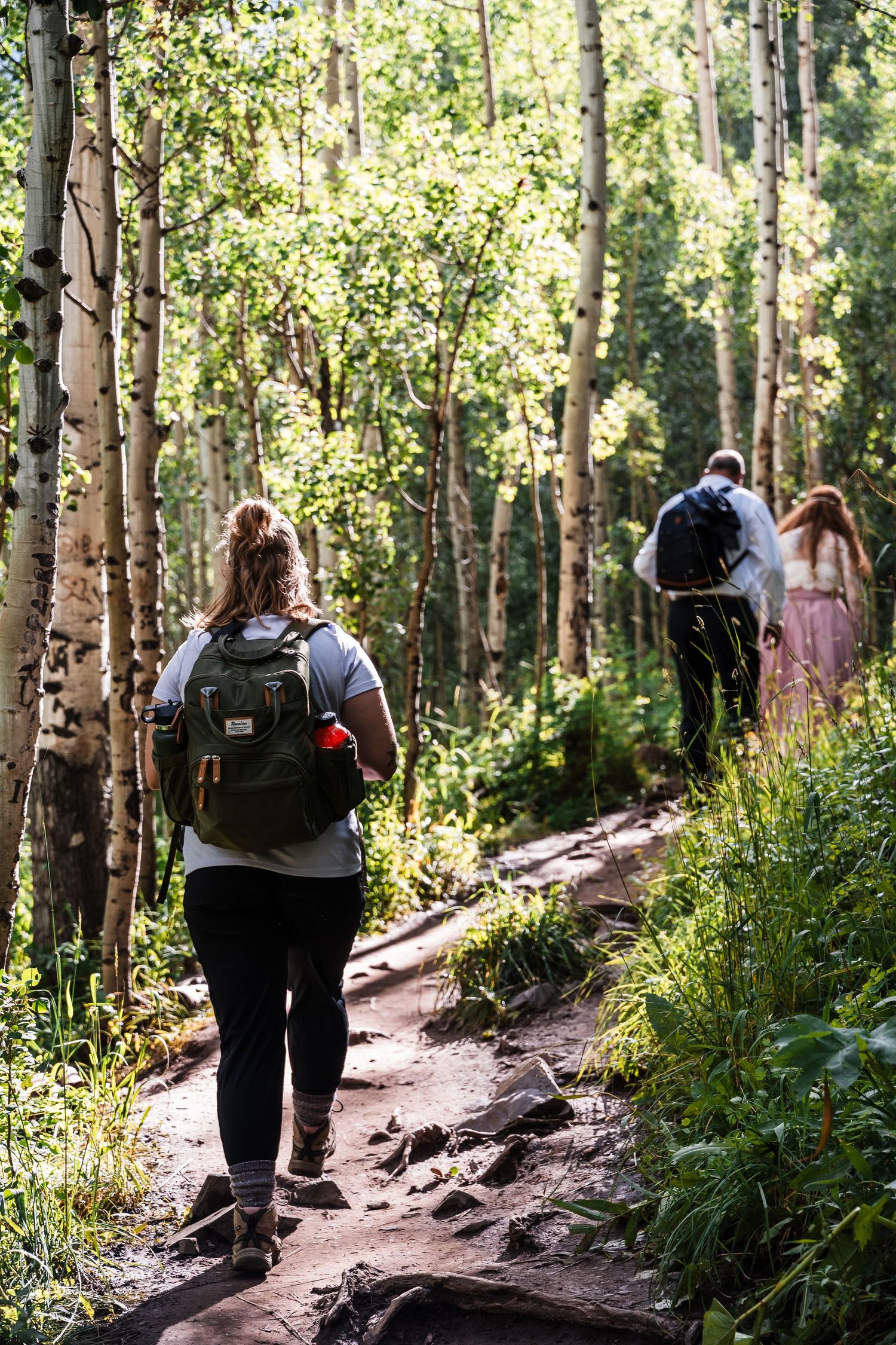 Hikers navigate a rugged dirt trail through a scenic aspen forest on a sunny summer day.