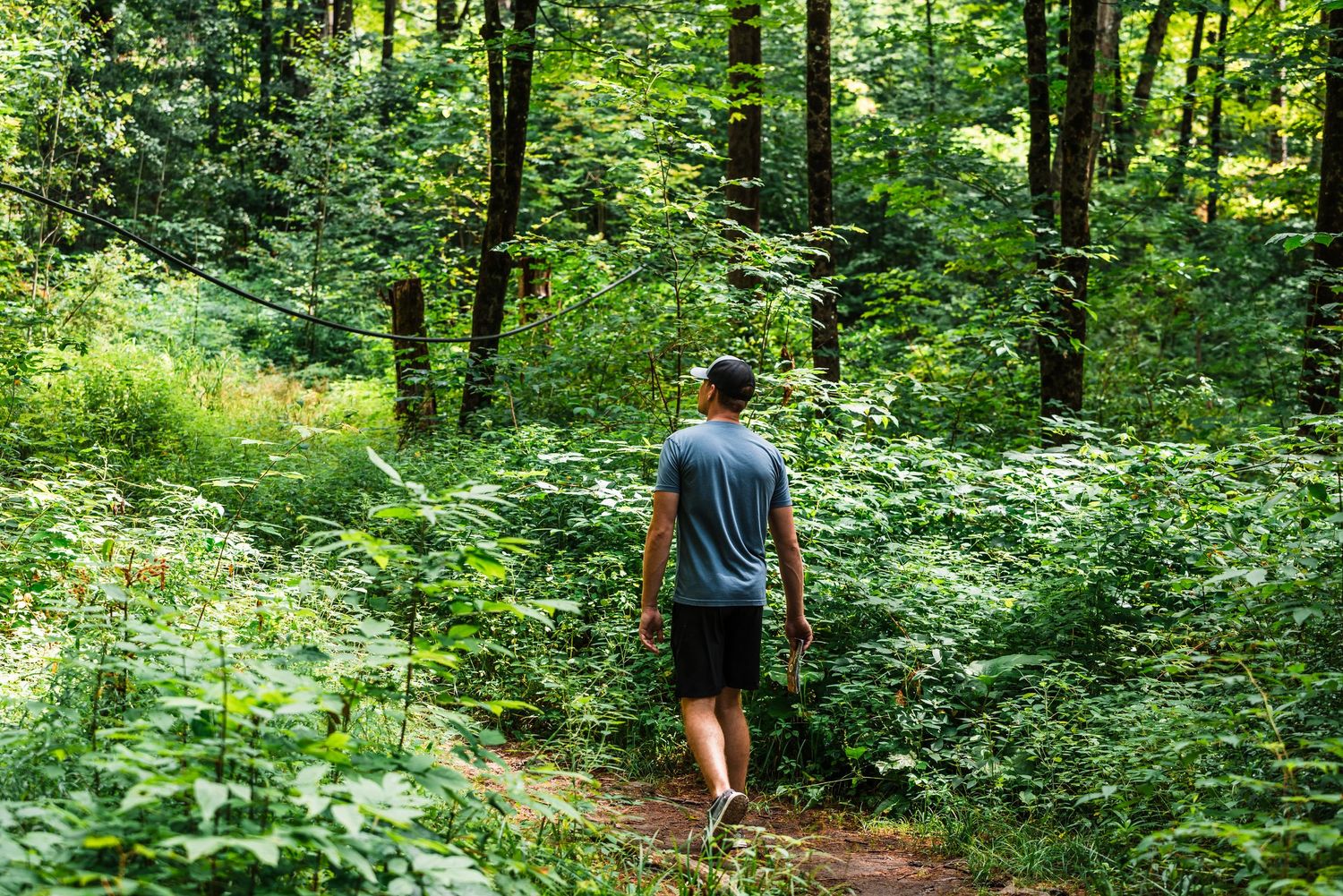 A solo hiker walks along a shaded forest trail surrounded by lush green vegetation.
