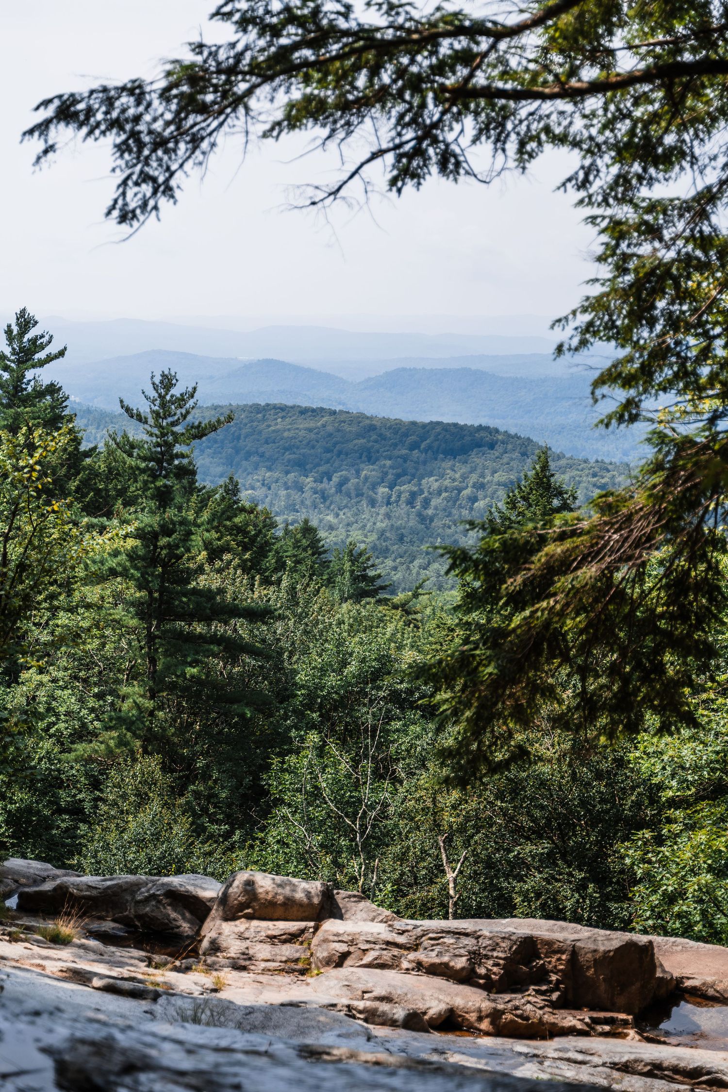Scenic mountain vista shows rolling blue ridges and evergreen forest stretching to the horizon.