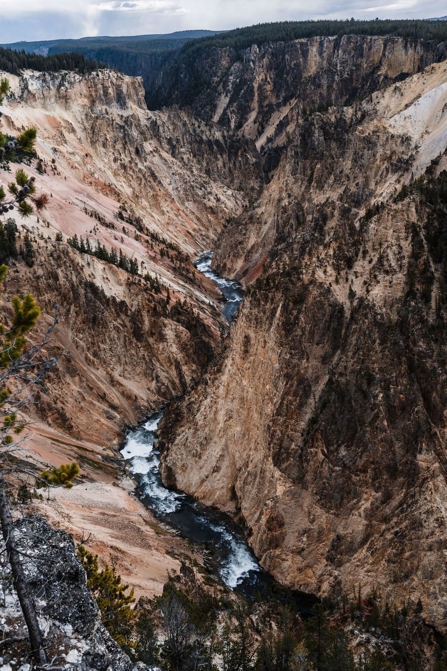 Deep canyon walls of Yellowstone with a rushing river flowing through rocky terrain below.